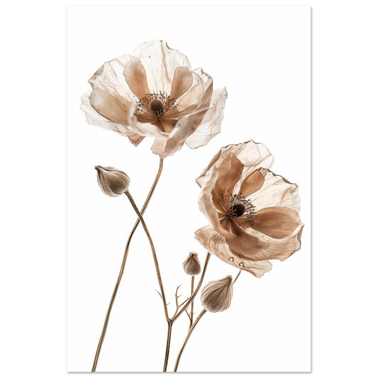 Delicate Dried Blooms Poster 60x90 cm - Pixara