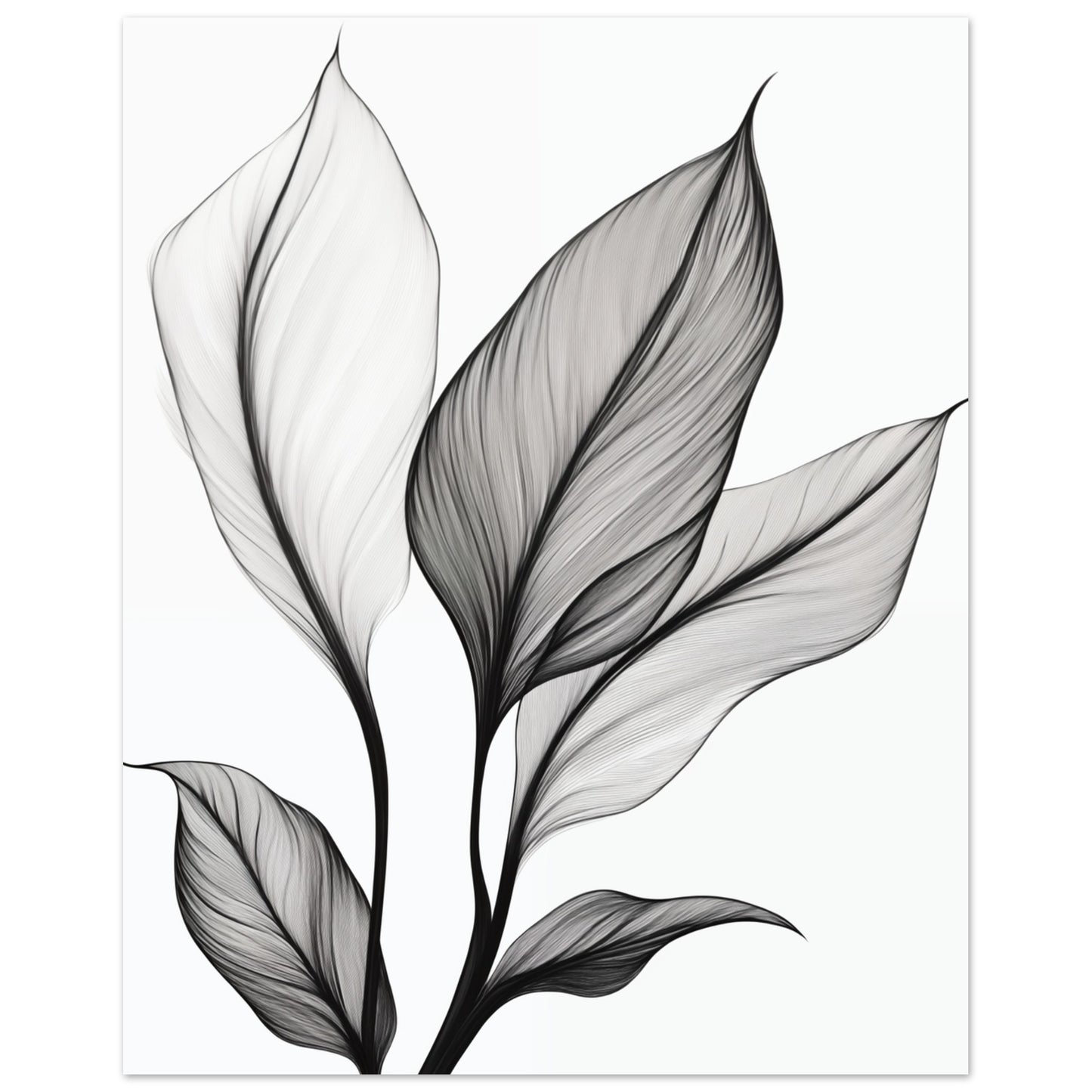 Eleganz der Blätter 40x50 cm - Pixara