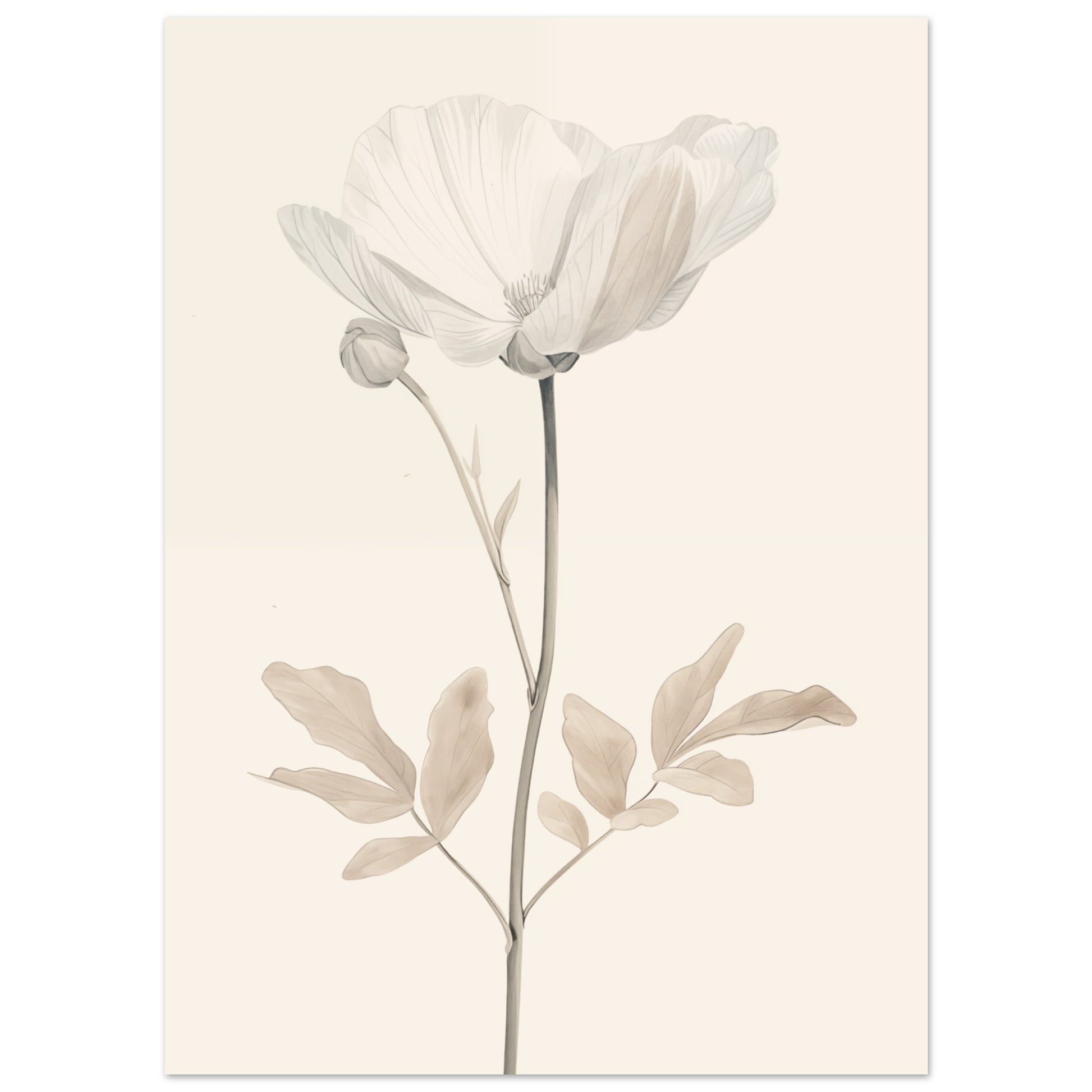 Zarte Blüte 13x18 cm - Pixara
