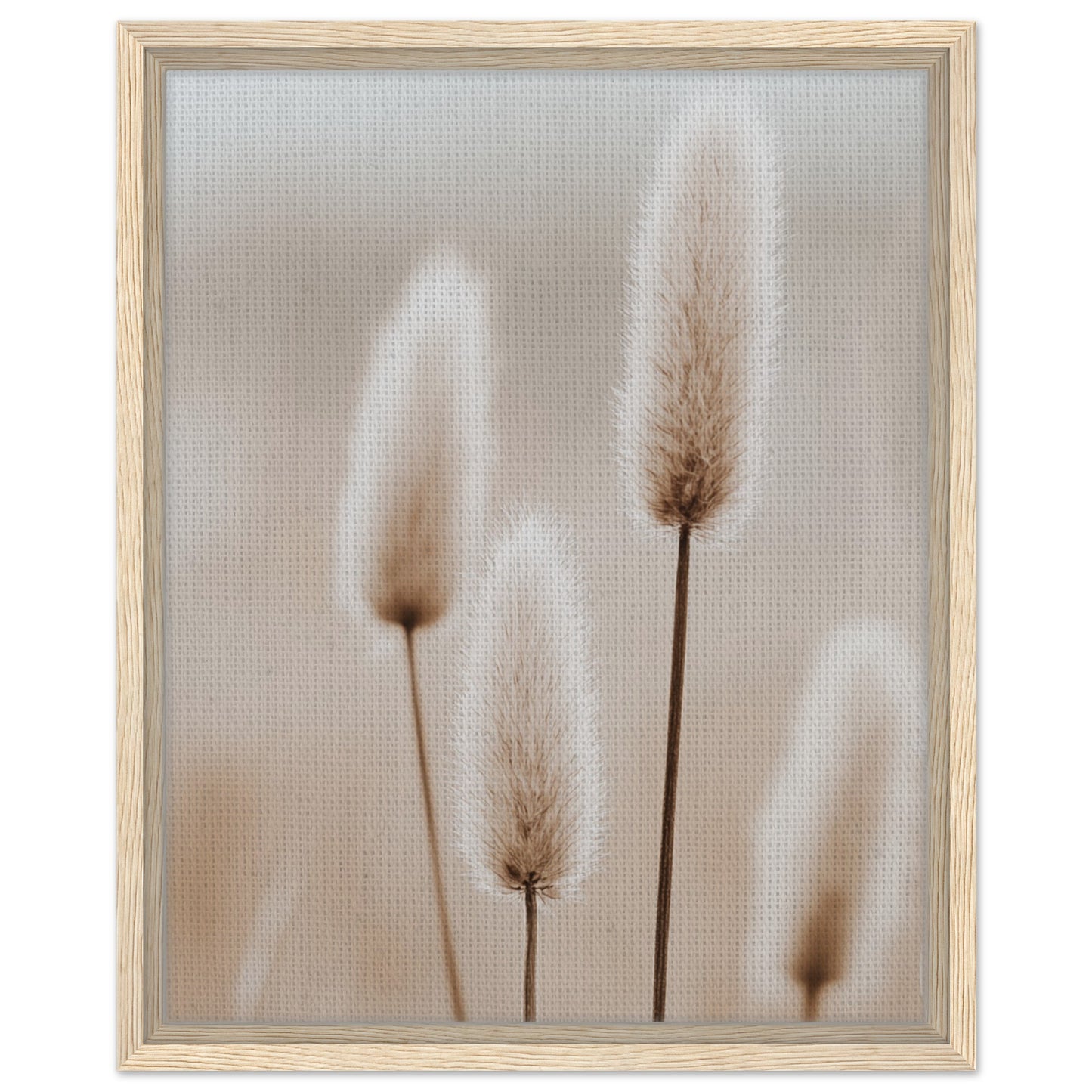 Hasenschwanzgräser in sanften Tönen | Gerahmte Leinwand Holzrahmen 40x50 cm - Pixara