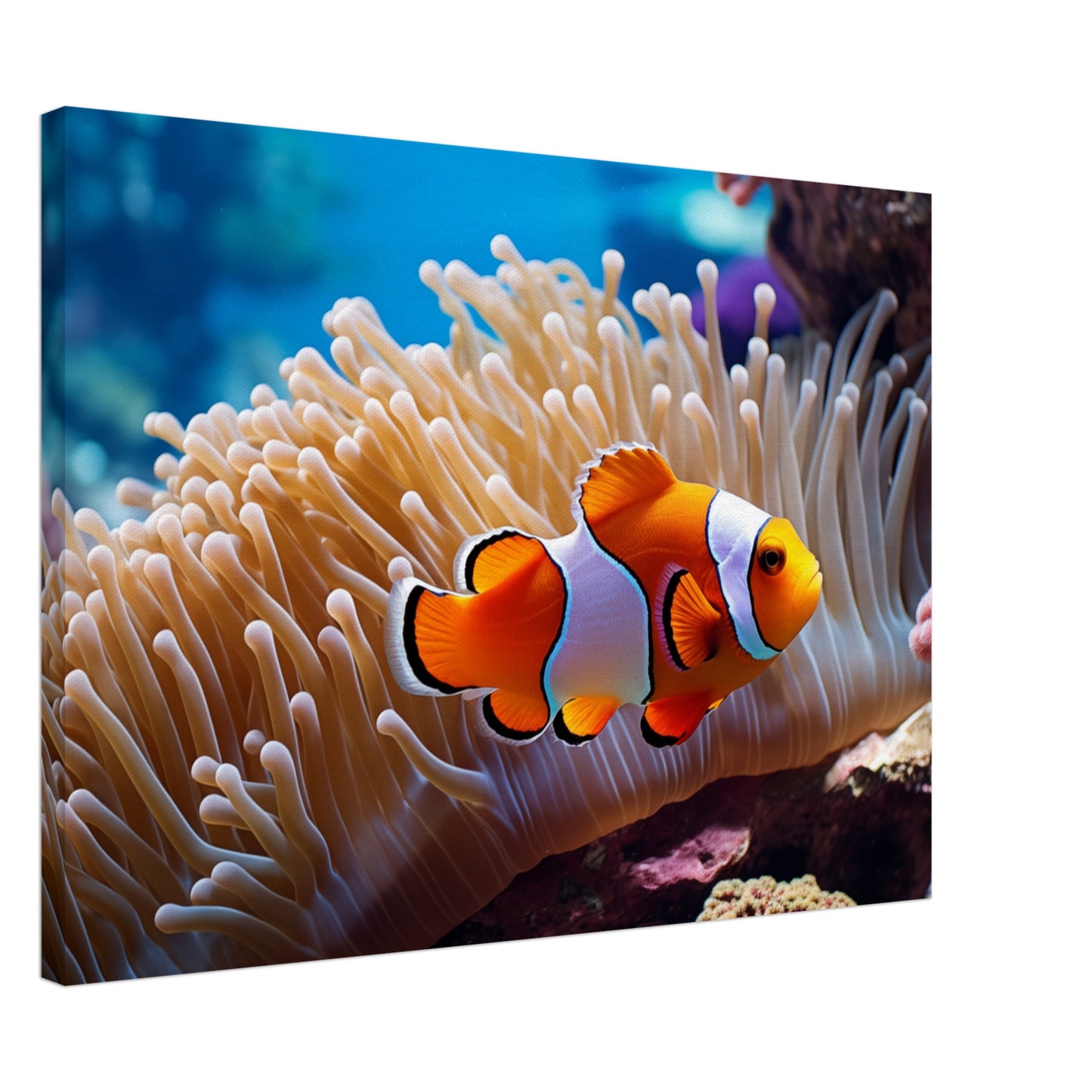 Versteck im Riff Leinwand 50x70 cm - Pixara