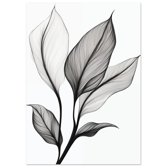 Eleganz der Blätter A4 21x29.7 cm - Pixara