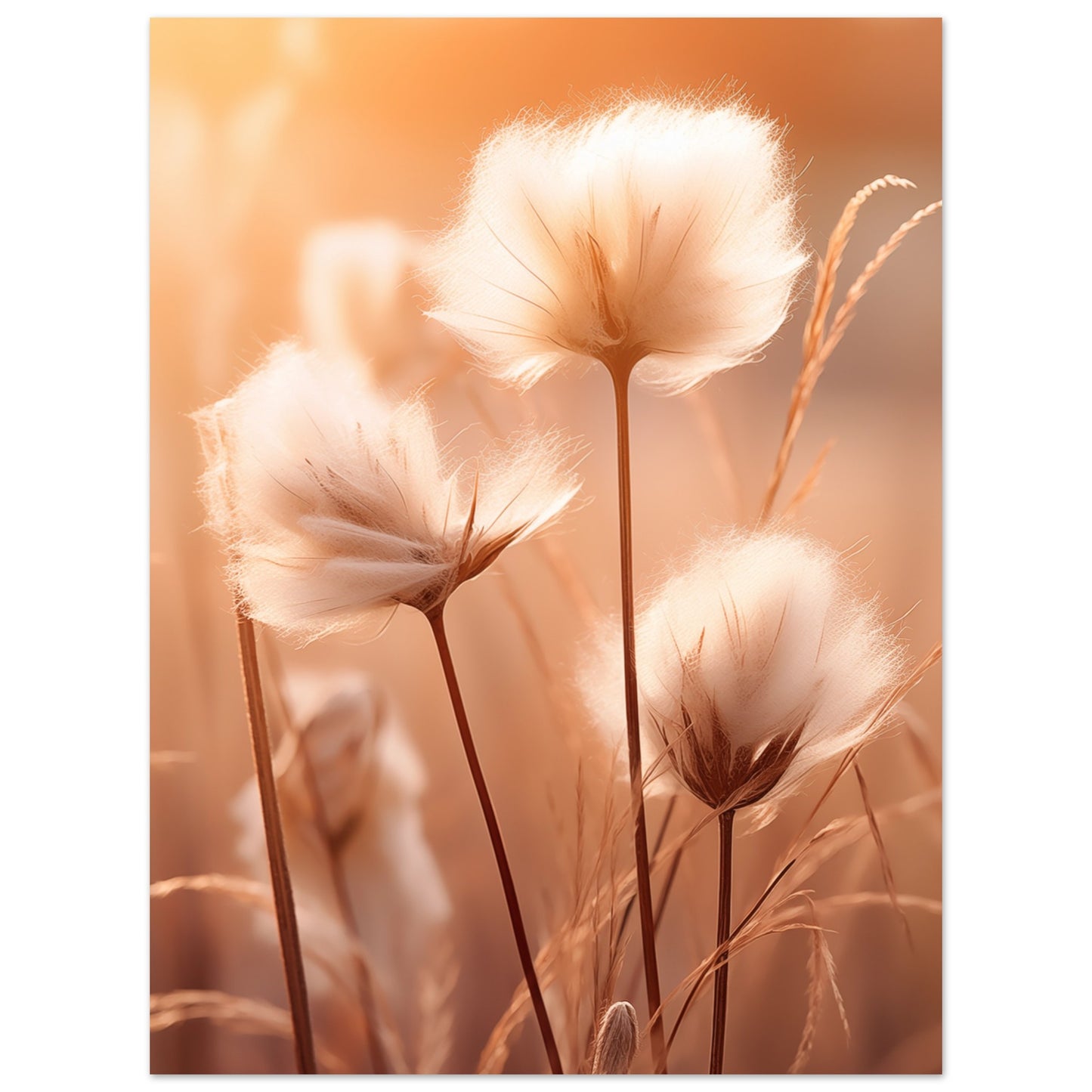 Baumwolle Poster 30x40 cm - Pixara