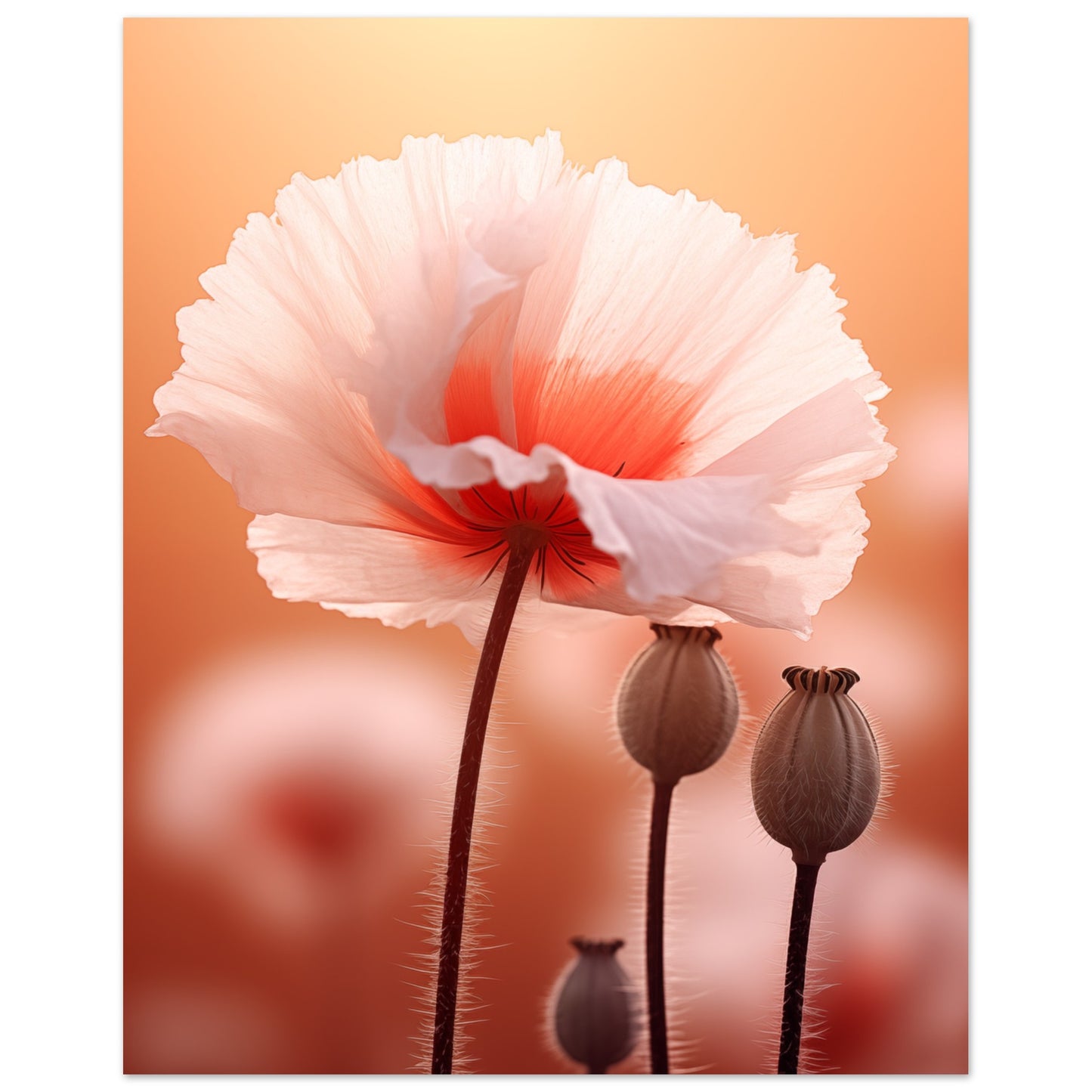 Sanfte Entfaltung Poster 40x50 cm - Pixara