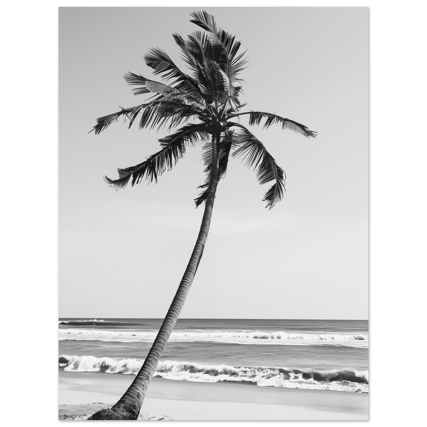Die einsame Palme 30x40 cm - Pixara