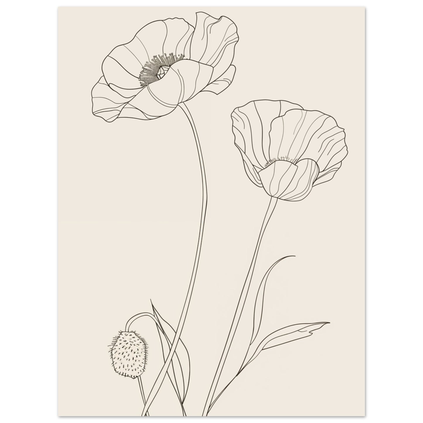 Minimalistische Mohnblumen 30x40 cm - Pixara
