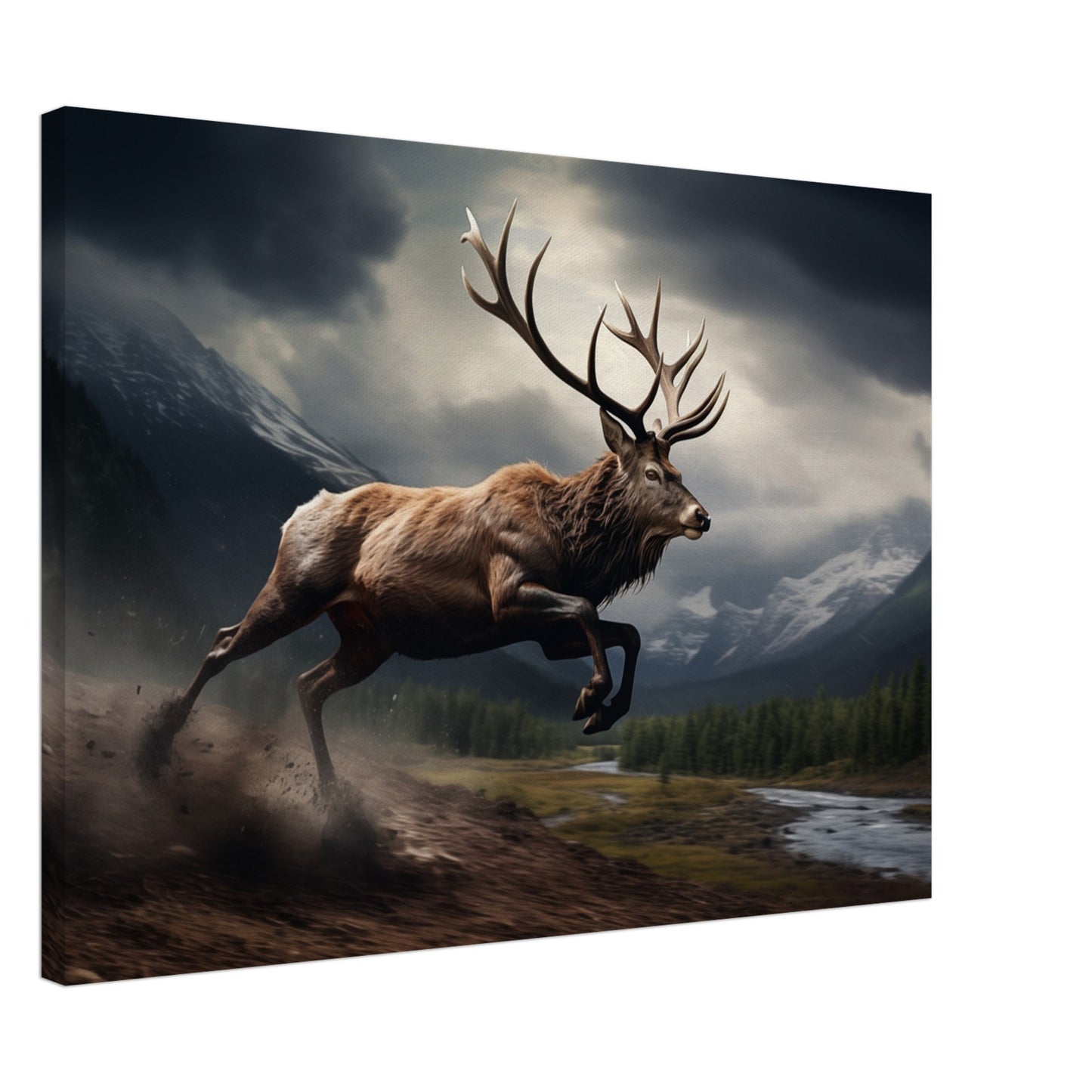 Eilender Monarch Leinwand 50x70 cm - Pixara