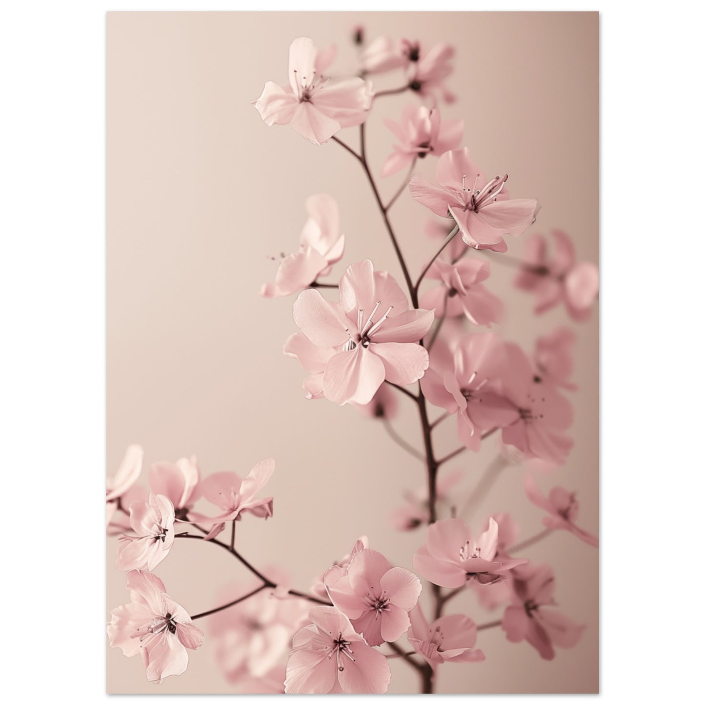 Zarte Blüten 13x18 cm - Pixara