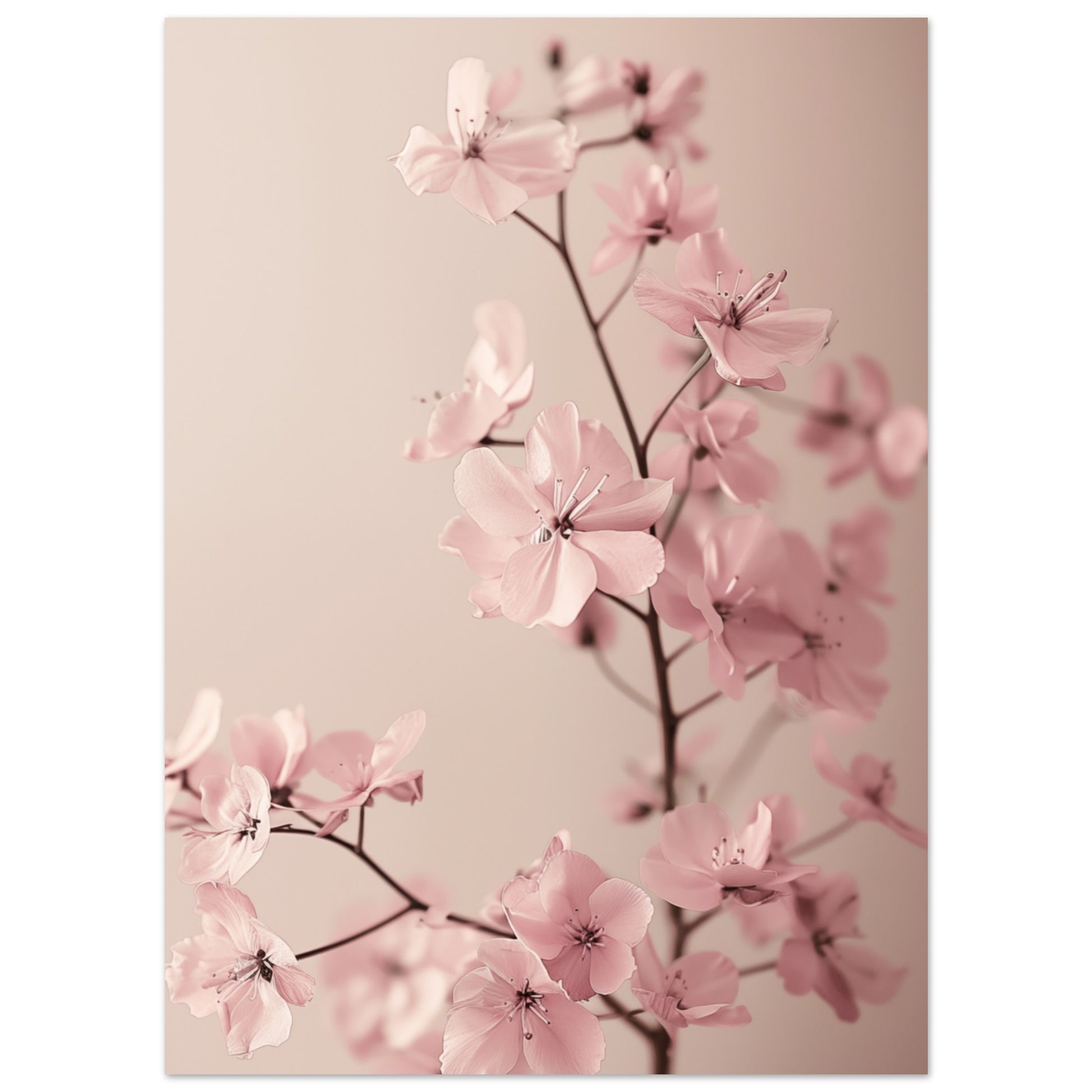 Zarte Blüten 13x18 cm - Pixara