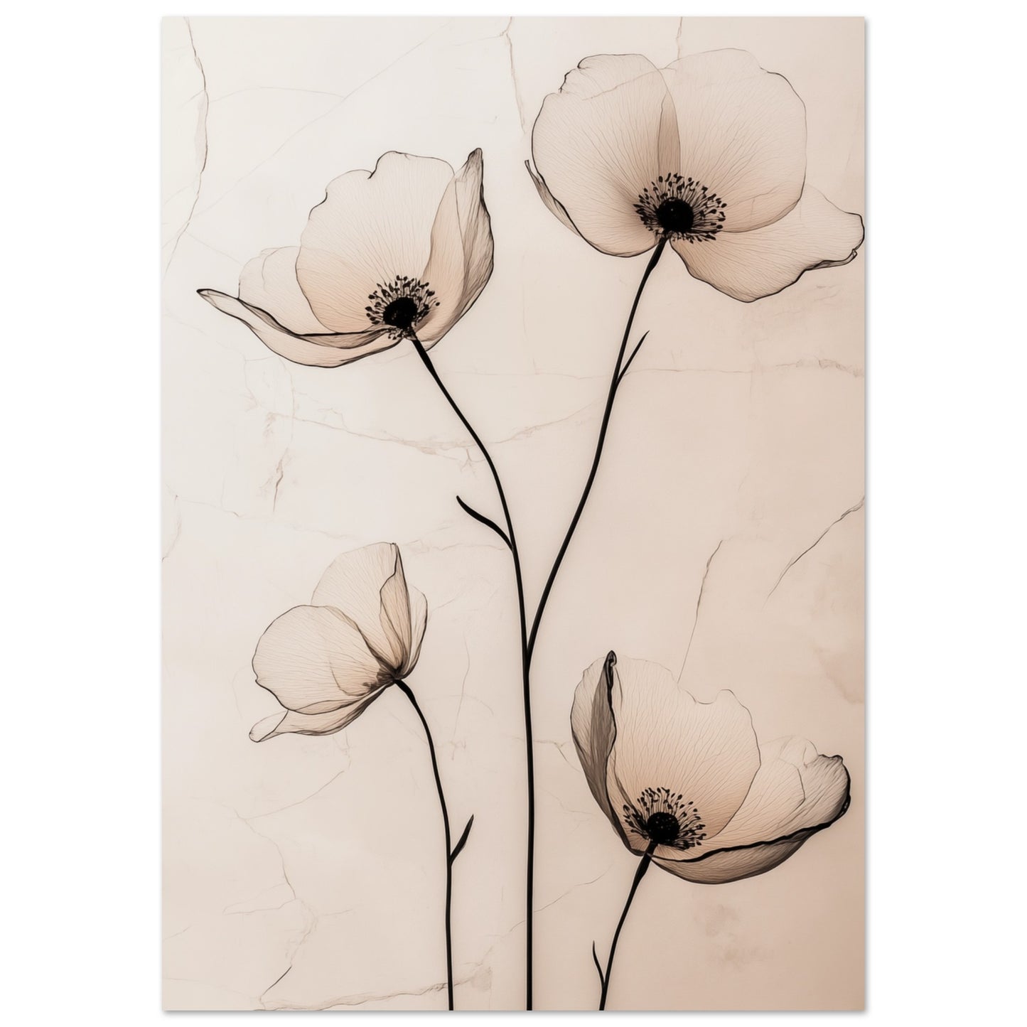 Zarte Mohnblüten A4 21x29.7 cm - Pixara