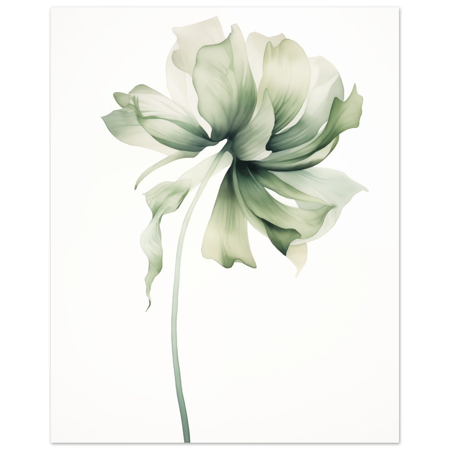 Florale Whisper Poster 40x50 cm - Pixara