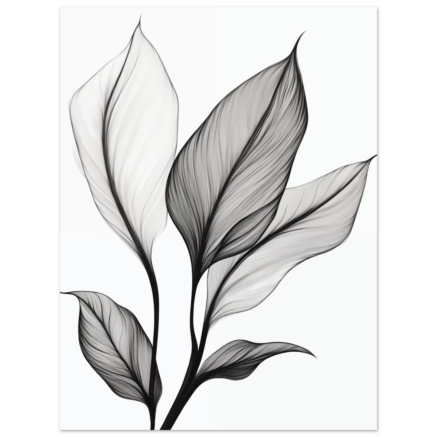 Eleganz der Blätter 30x40 cm - Pixara