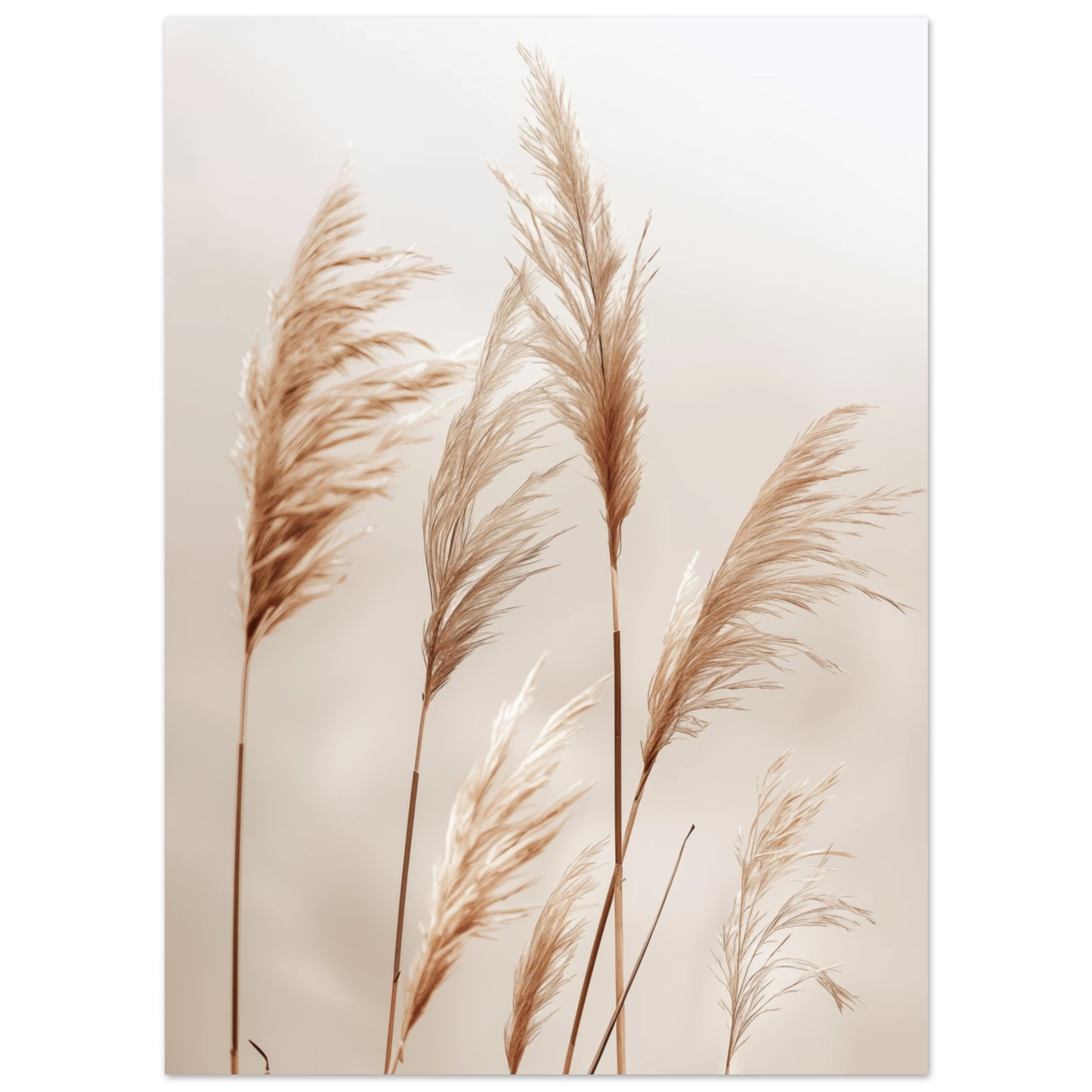 Weiche Gräser im Wind 13x18 cm - Pixara