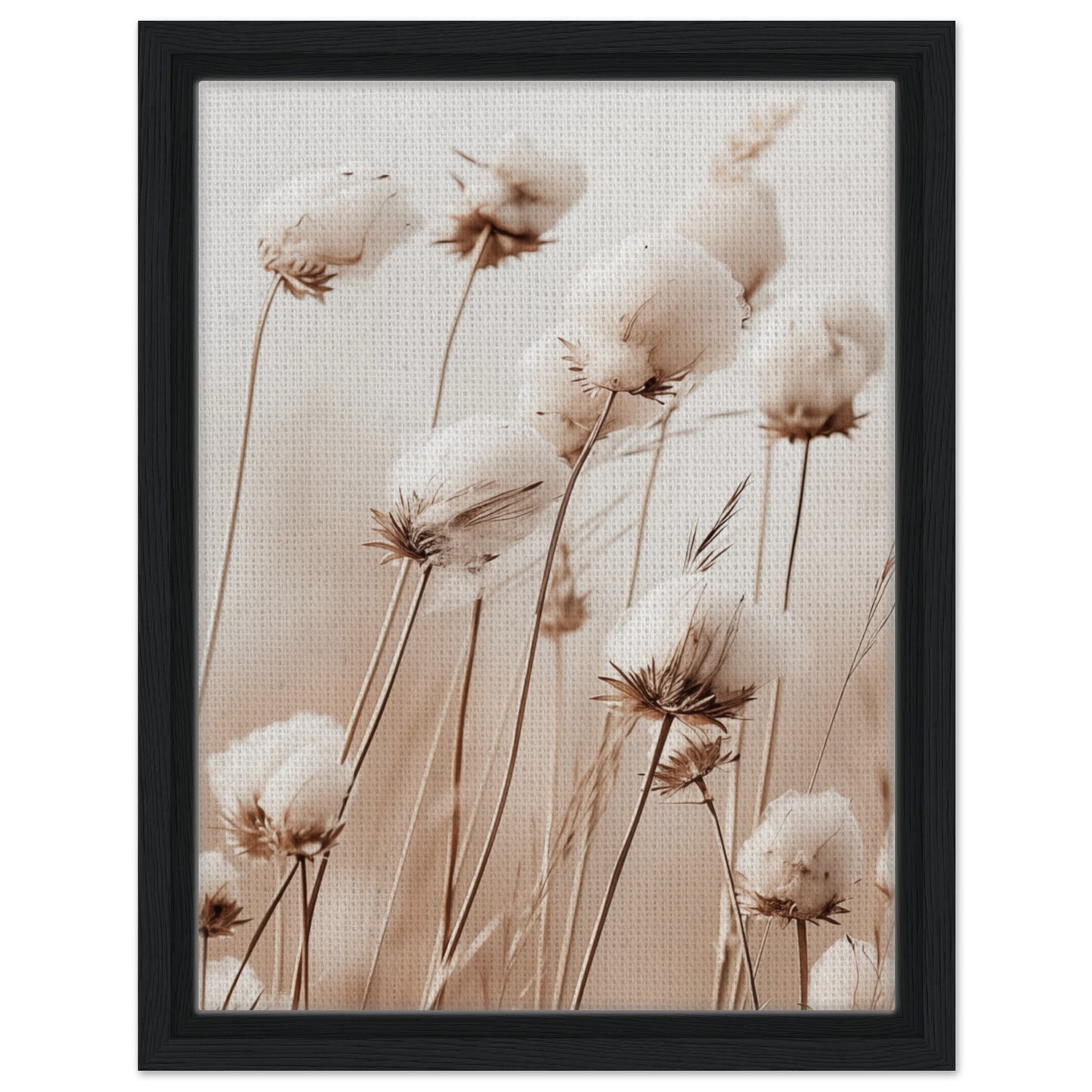 Flauschige Baumwollblumen | Gerahmte Leinwand Schwarzer Rahmen 30x40 cm - Pixara