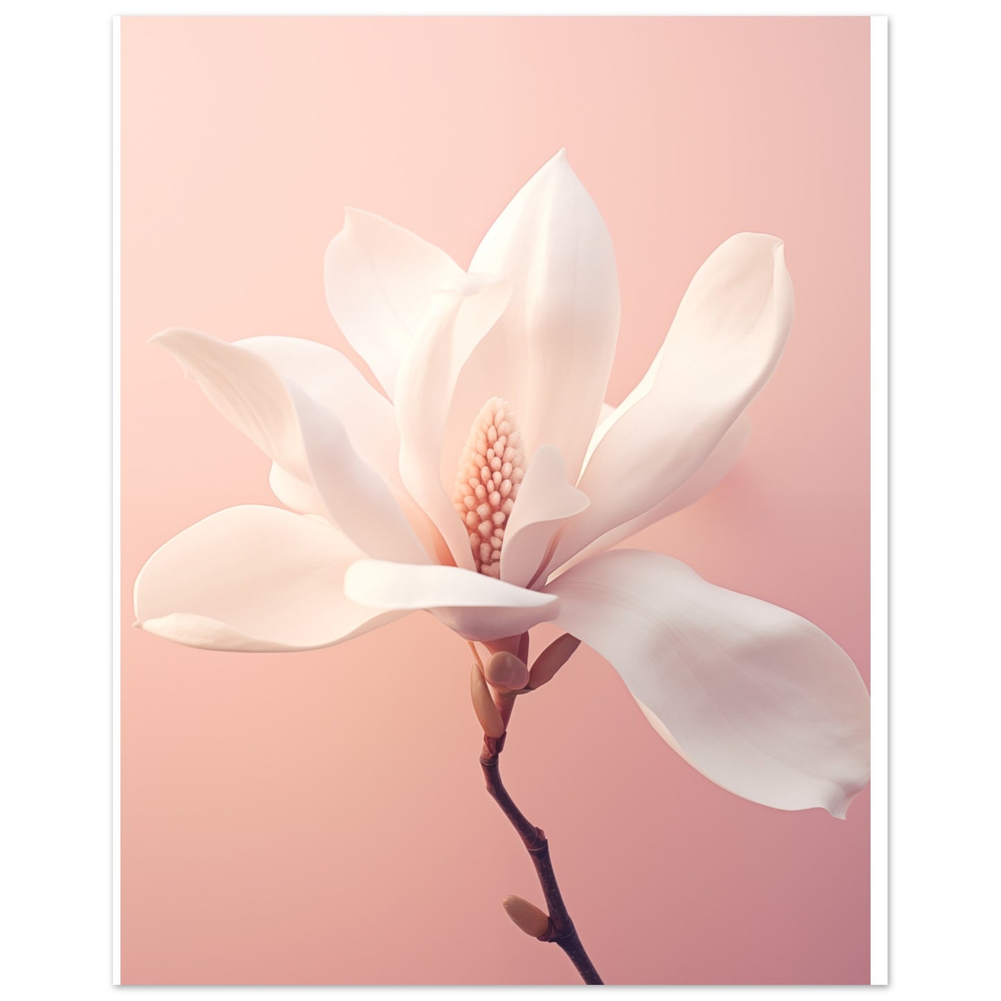 Frühlingserwachen Poster 40x50 cm - Pixara