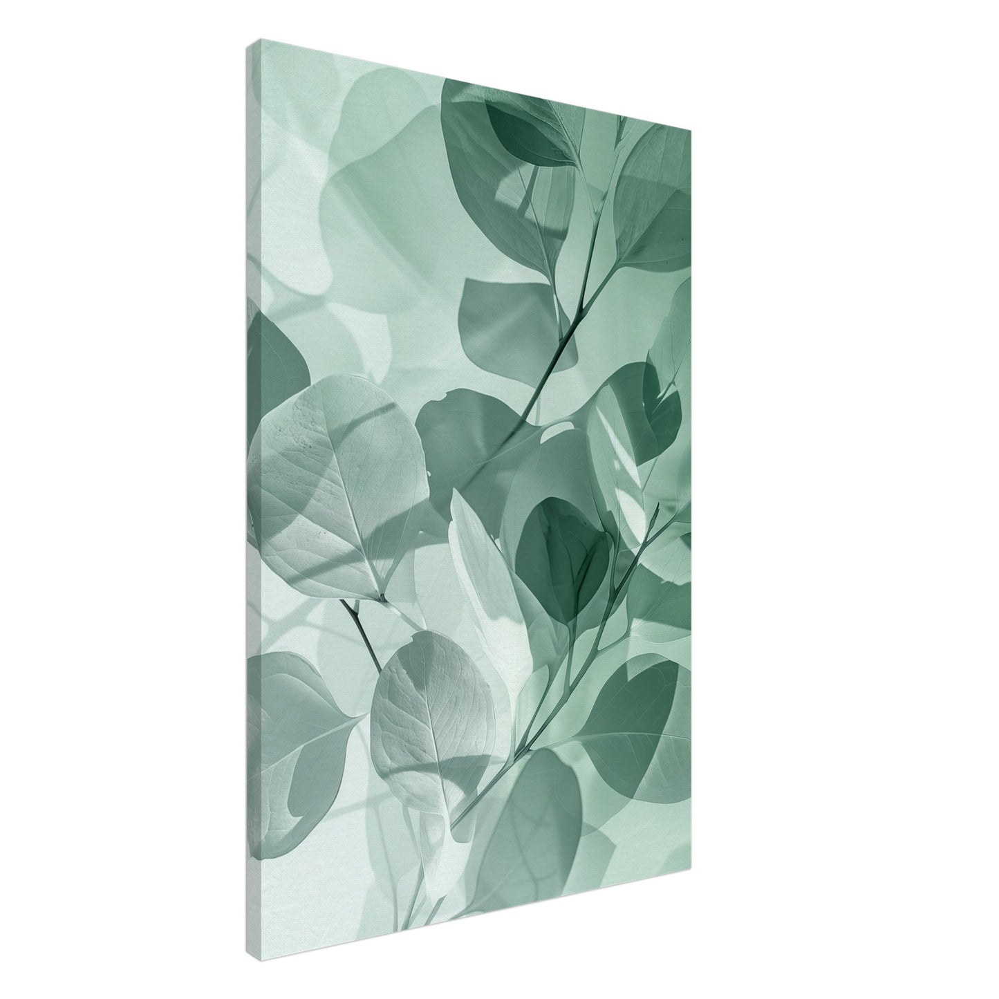 Eukalyptus-Träume Leinwand 60x90 cm - Pixara