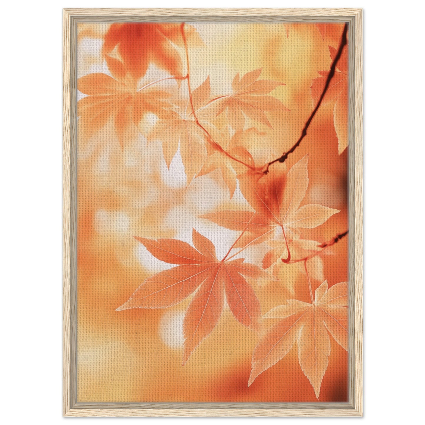 Japanischer Ahorn im Herbstlicht | Gerahmte Leinwand Holzrahmen 50x70 cm - Pixara
