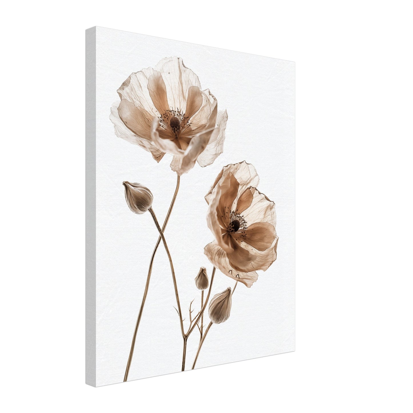 Delicate Dried Blooms Leinwand 40x50 cm - Pixara