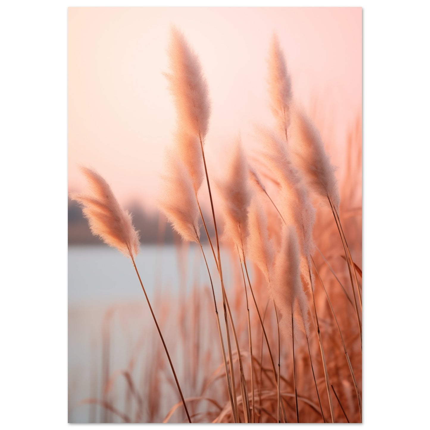 Flüstern des Abendrots Poster A4 21x29.7 cm - Pixara