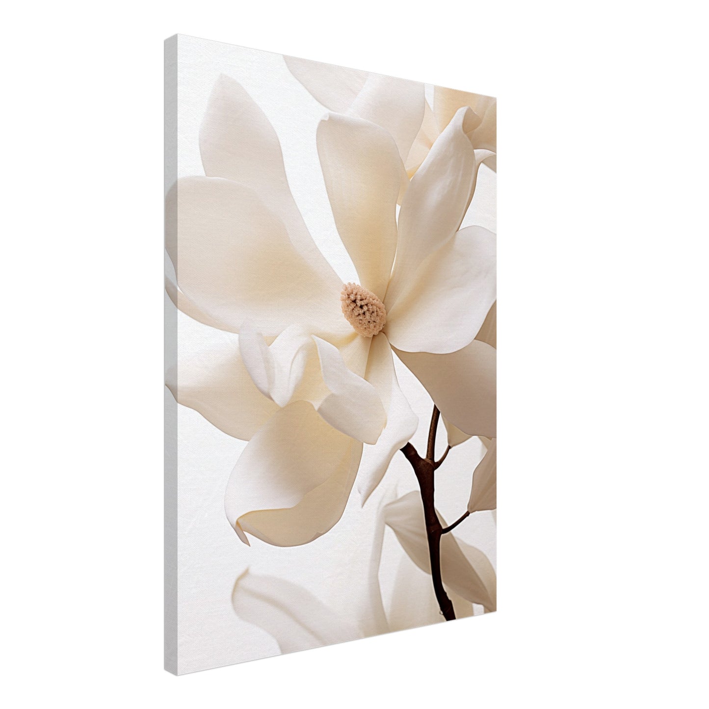 Reine Eleganz Leinwand 50x70 cm - Pixara