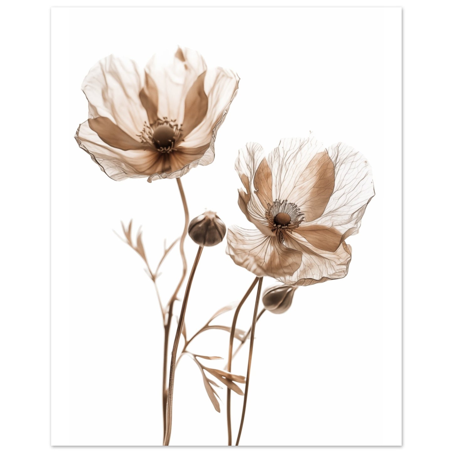 Whispering Petals Poster 40x50 cm - Pixara