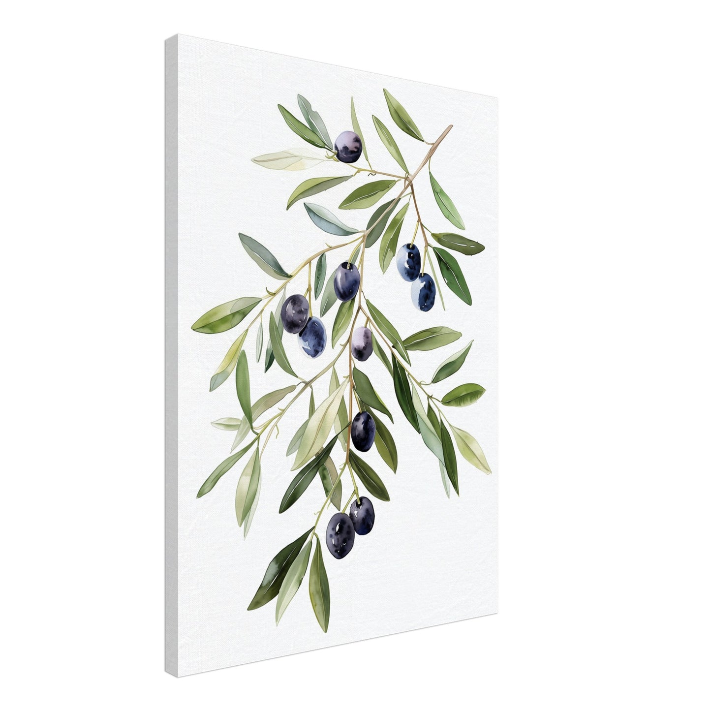 Olive Branch Serenity Leinwand 50x70 cm - Pixara