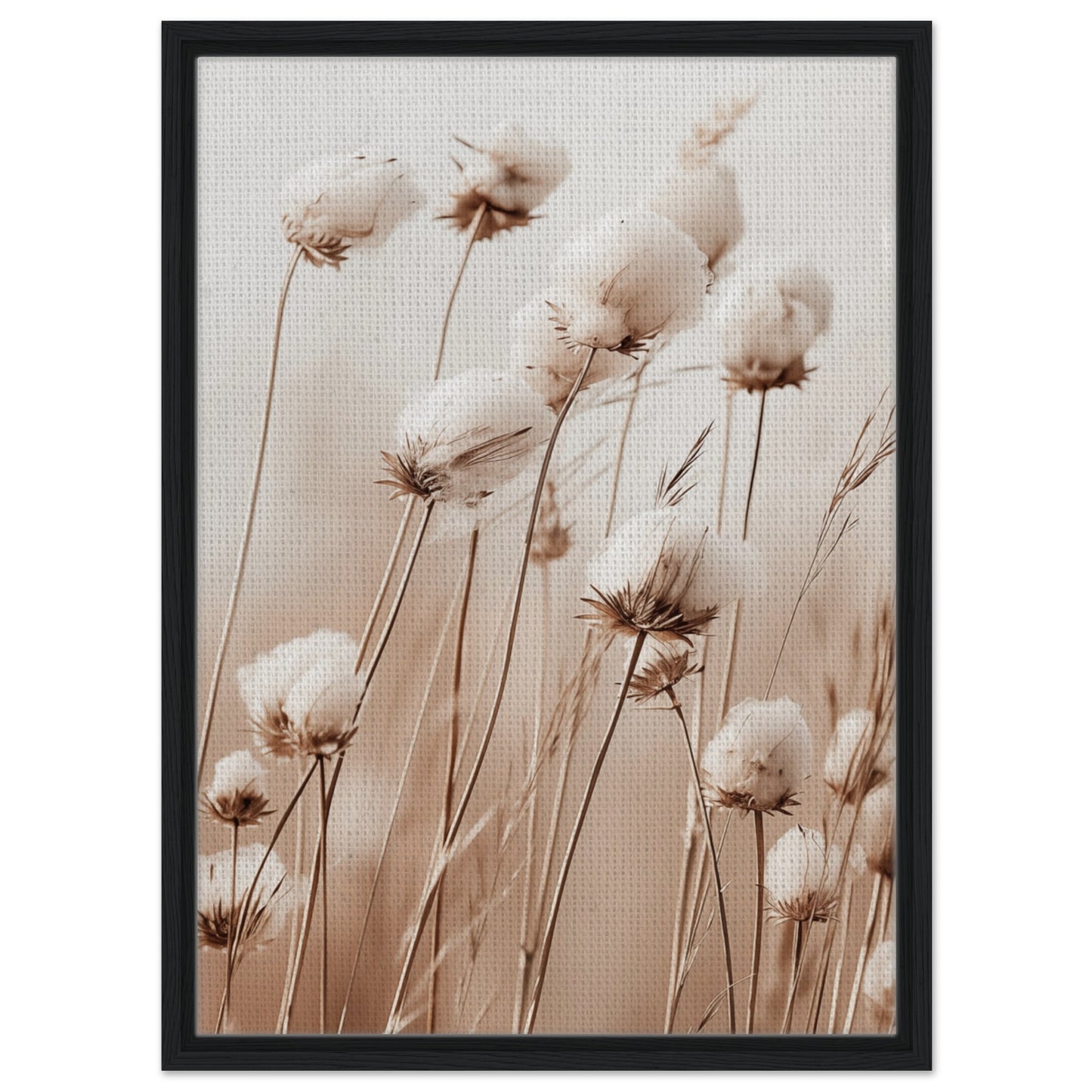 Flauschige Baumwollblumen | Gerahmte Leinwand Schwarzer Rahmen 50x70 cm - Pixara