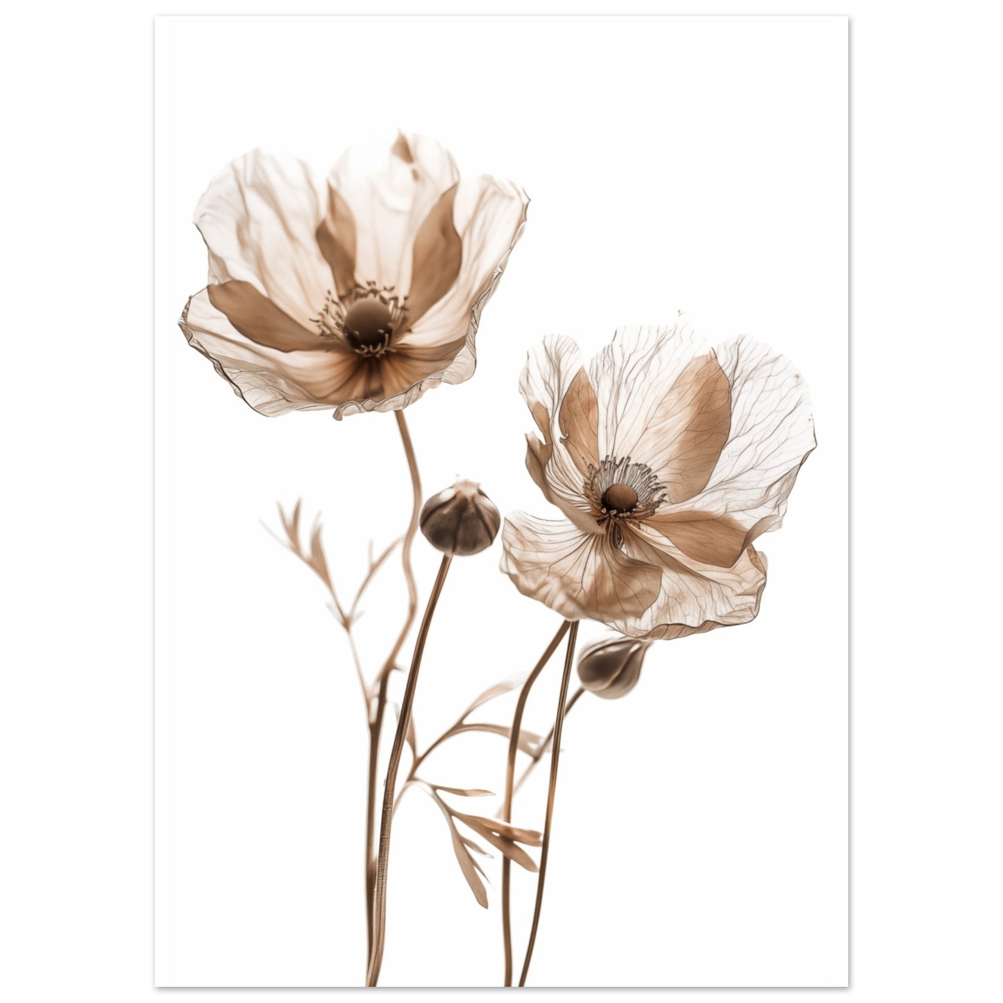 Whispering Petals Poster 50x70 cm - Pixara