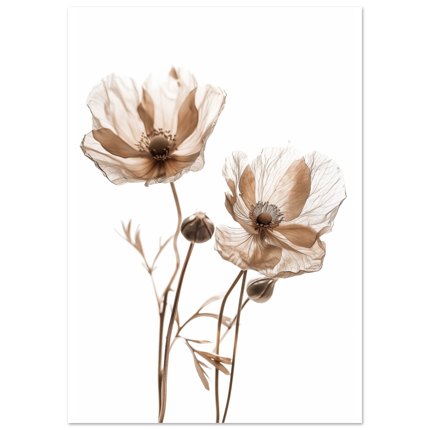 Whispering Petals Poster A4 21x29.7 cm - Pixara
