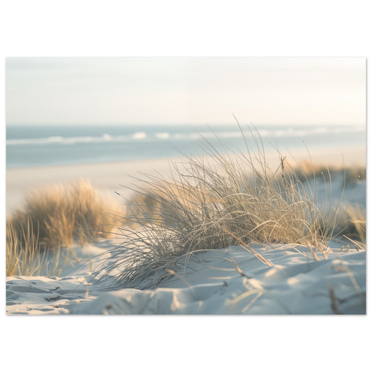 Sand und Schilf Poster 50x70 cm - Pixara