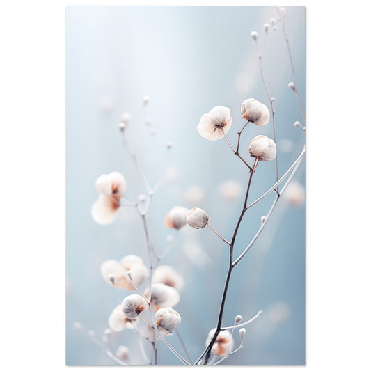 Sanfte Winterblüte Poster 60x90 cm - Pixara