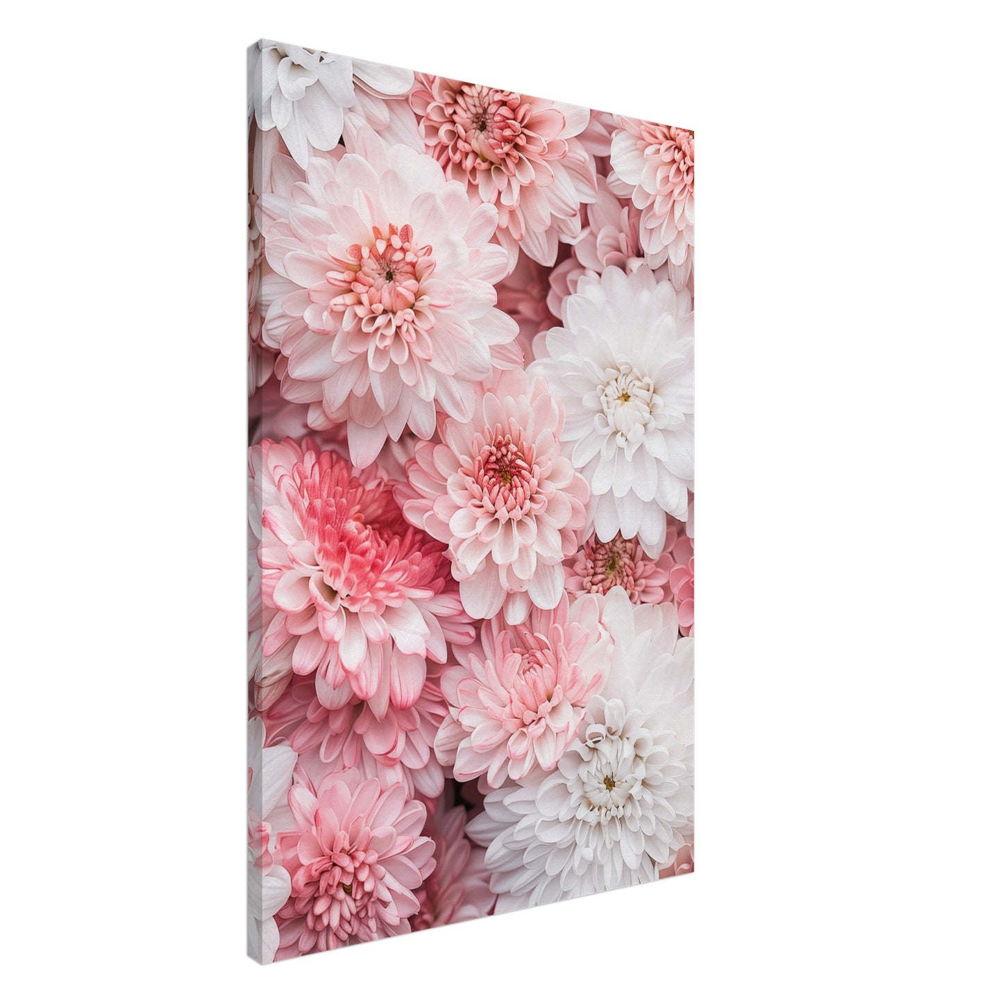 Chrysanthemen-Pracht Leinwand 60x90 cm - Pixara
