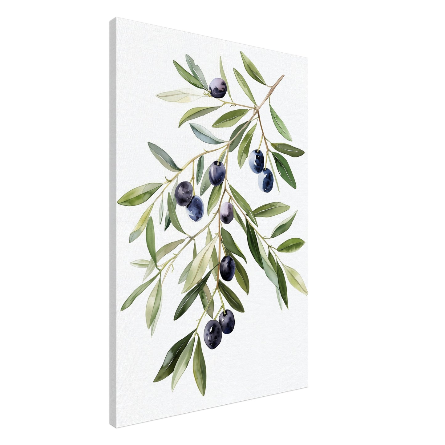 Olive Branch Serenity Leinwand 60x90 cm - Pixara