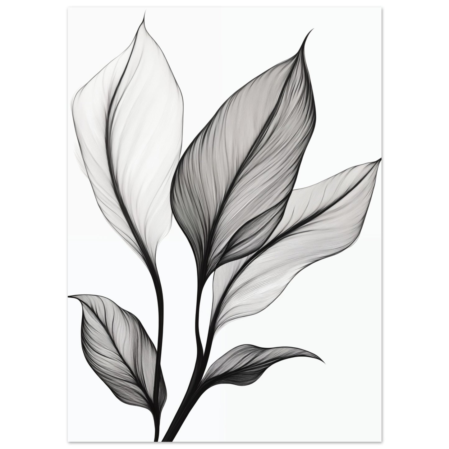 Eleganz der Blätter 13x18 cm - Pixara
