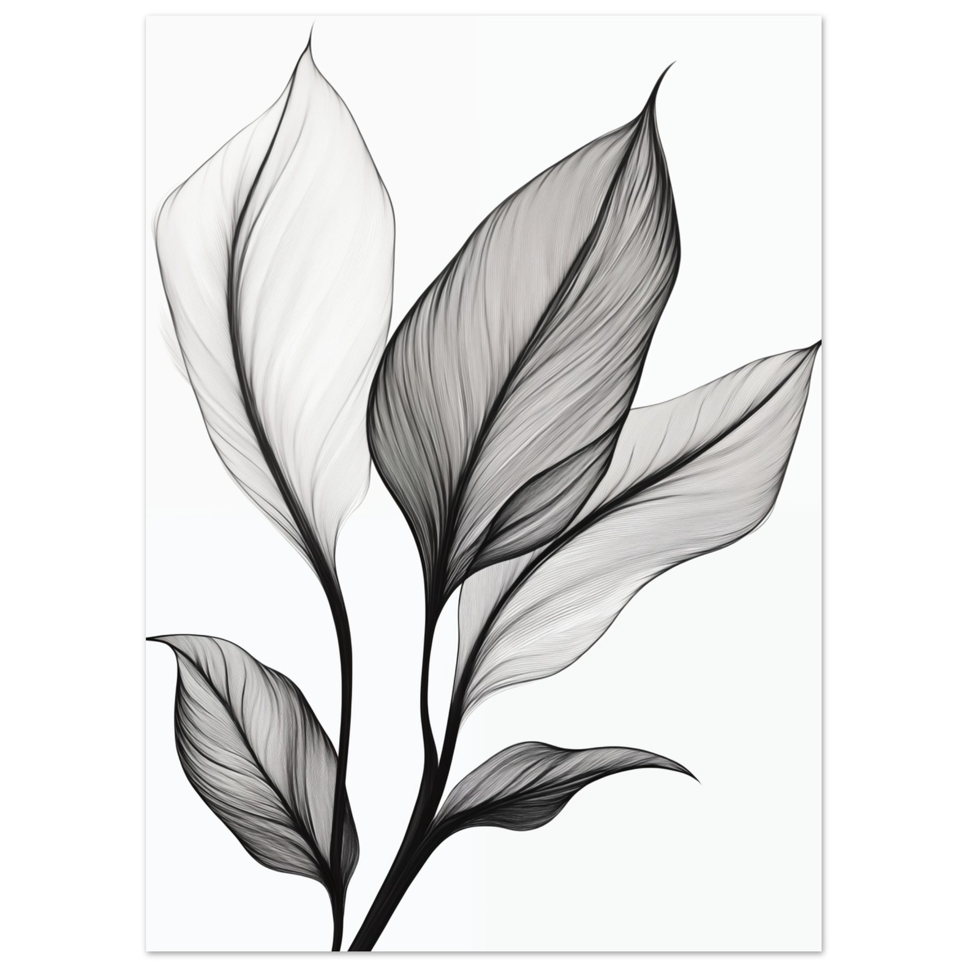 Eleganz der Blätter 13x18 cm - Pixara