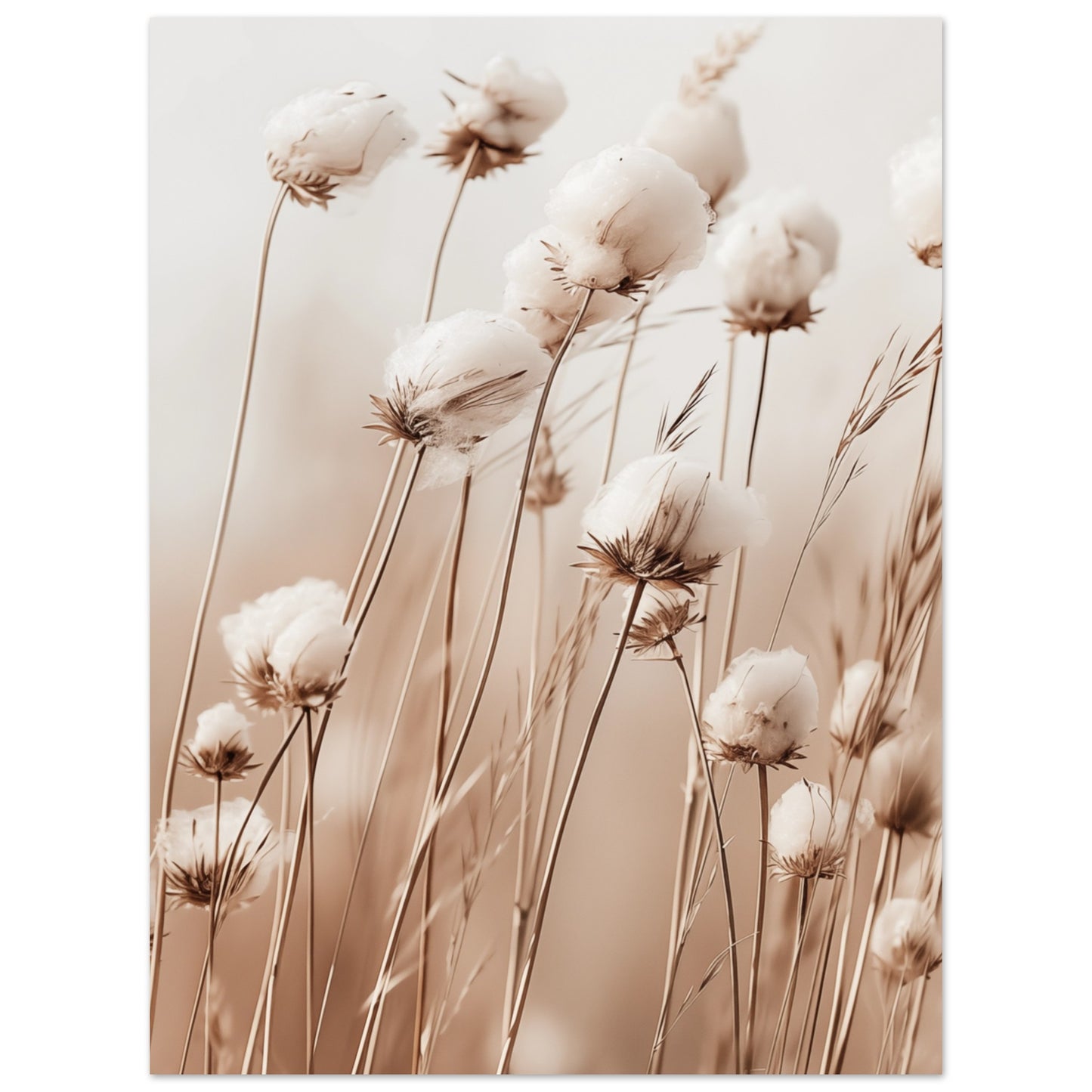 Flauschige Baumwollblumen 30x40 cm - Pixara