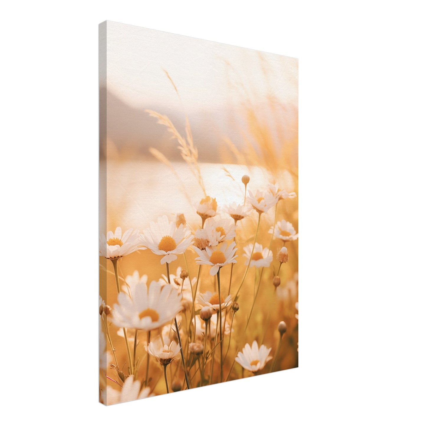 Abendleuchten Leinwand 50x70 cm - Pixara