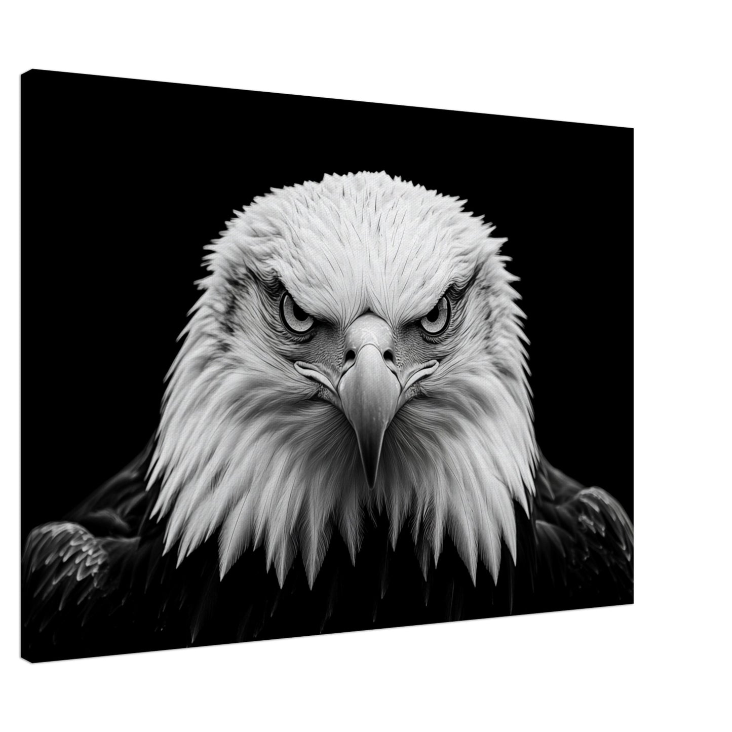 Schwarz-Weiß Porträt eines majestätischen Adlers Leinwand 70x100 cm - Pixara