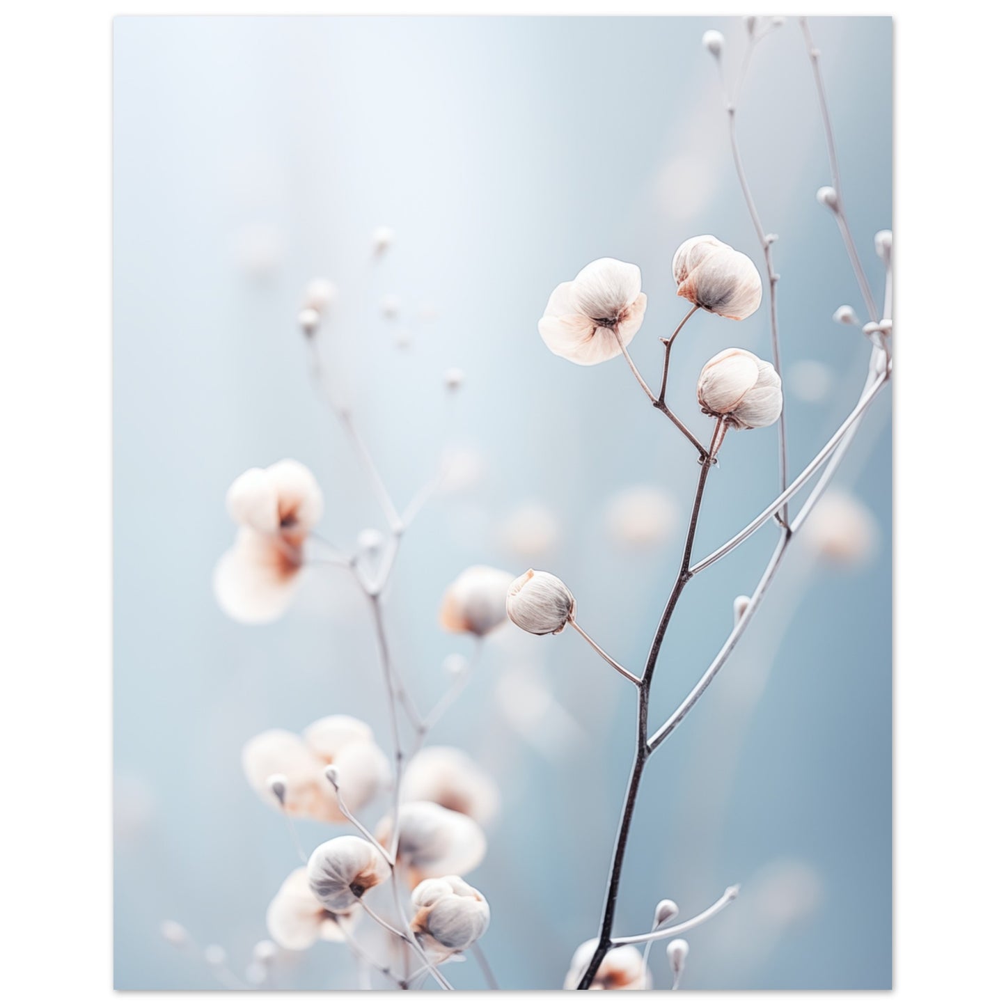 Sanfte Winterblüte Poster 40x50 cm - Pixara