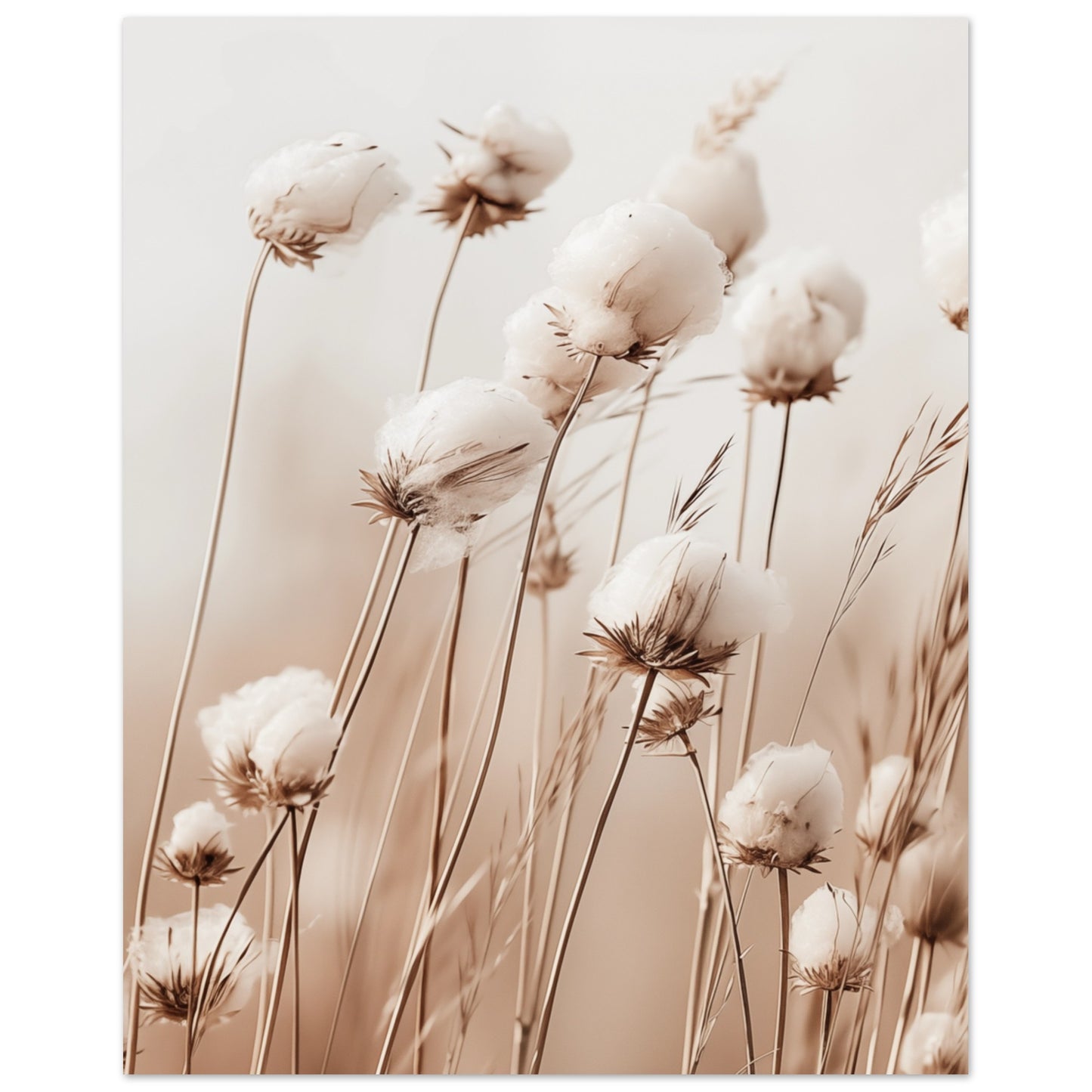 Flauschige Baumwollblumen 20x25 cm - Pixara