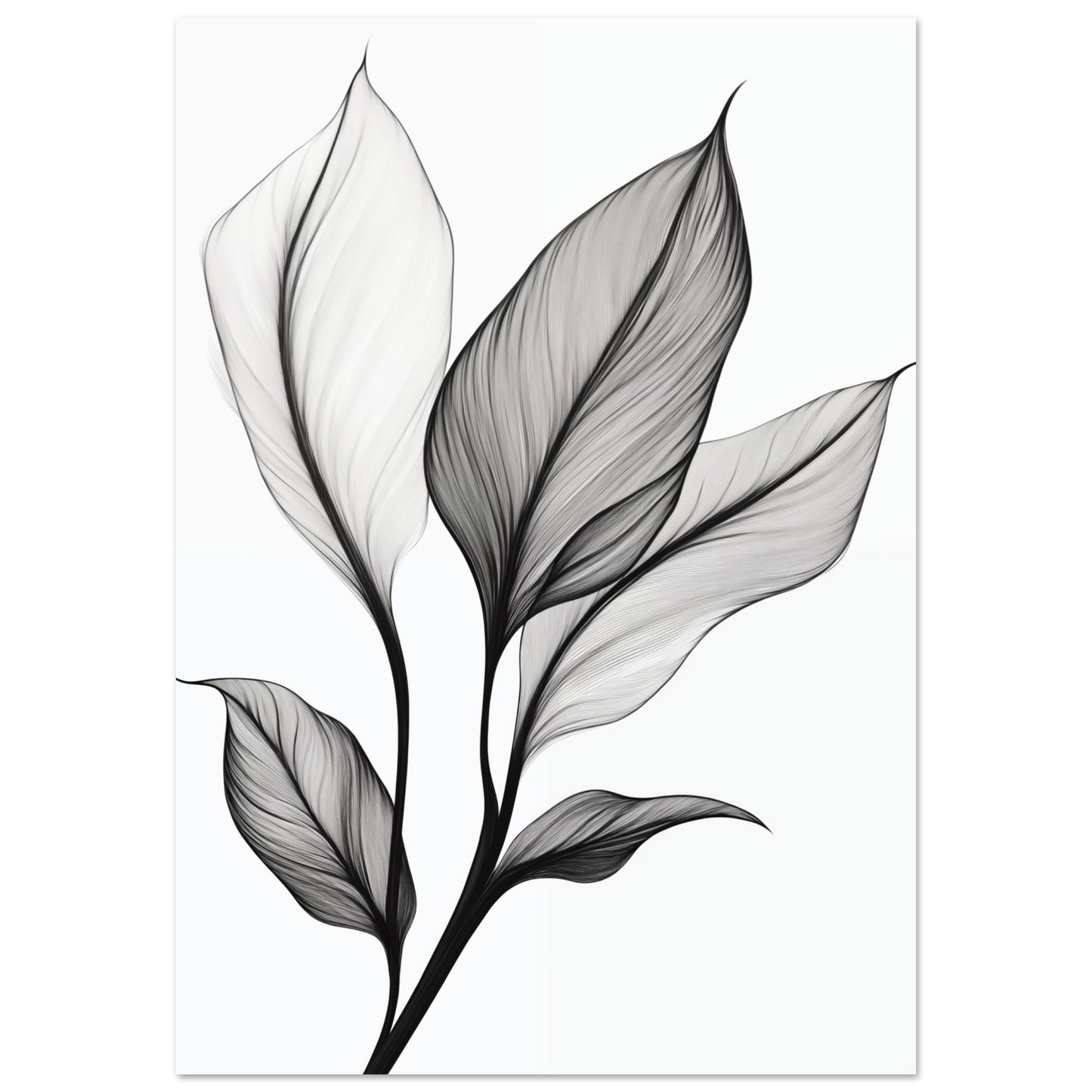 Eleganz der Blätter 70x100 cm - Pixara
