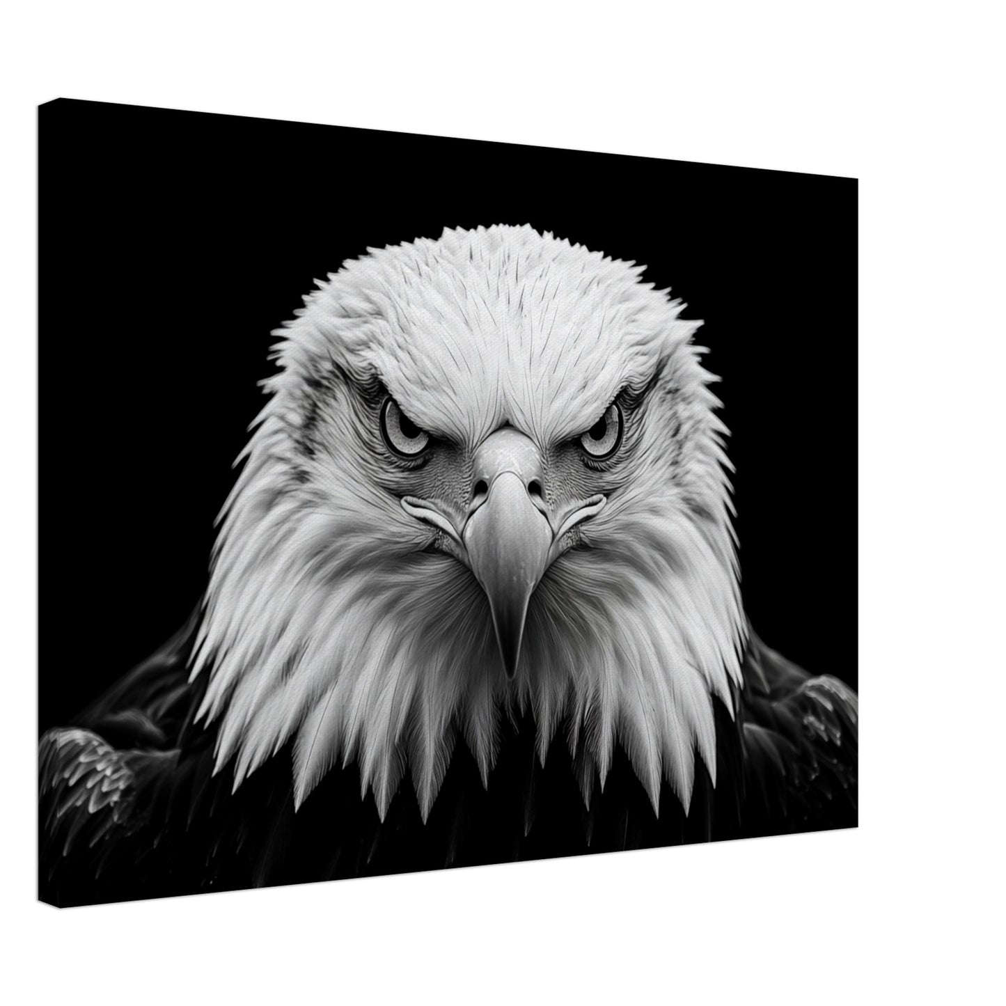 Schwarz-Weiß Porträt eines majestätischen Adlers Leinwand 50x70 cm - Pixara
