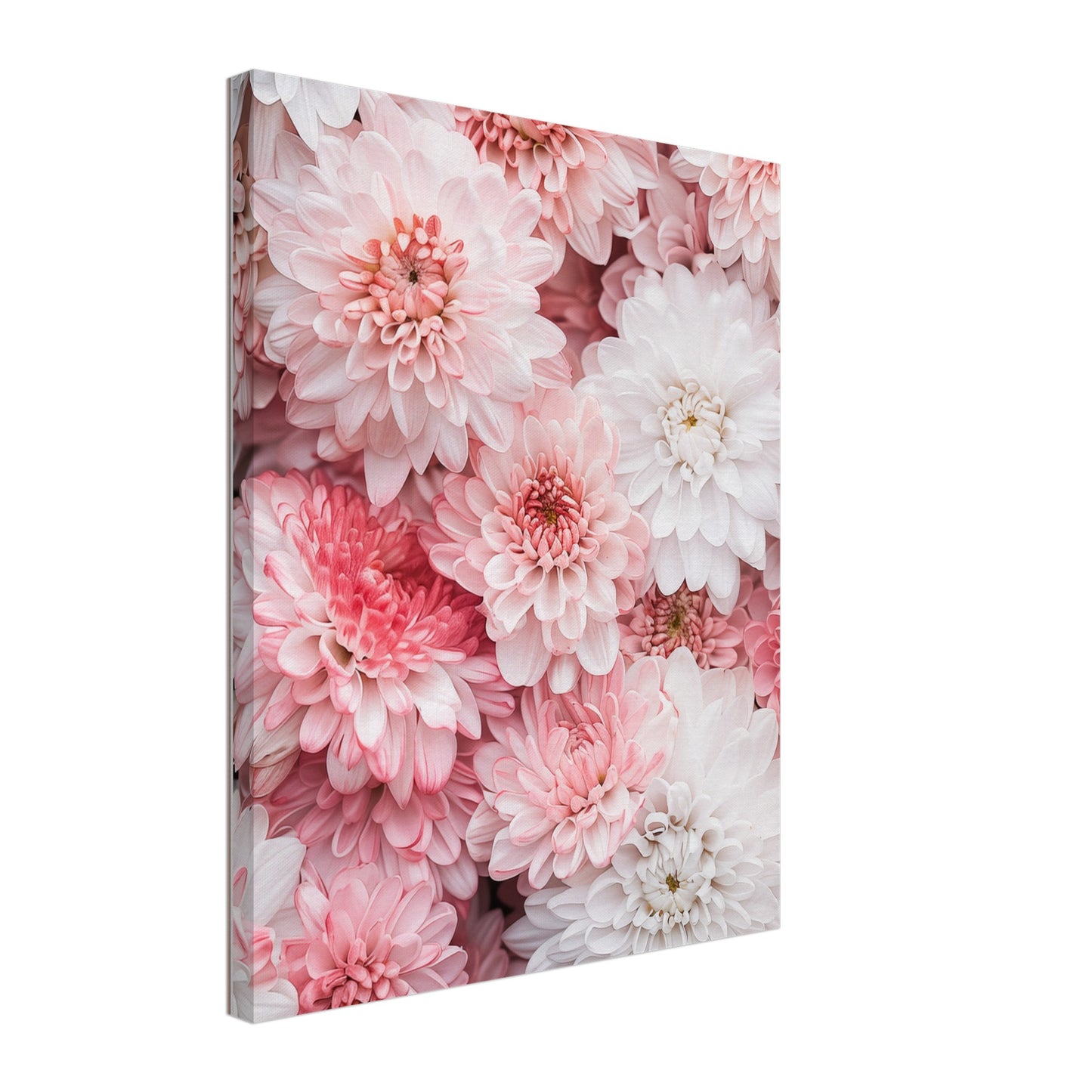 Chrysanthemen-Pracht Leinwand 40x50 cm - Pixara