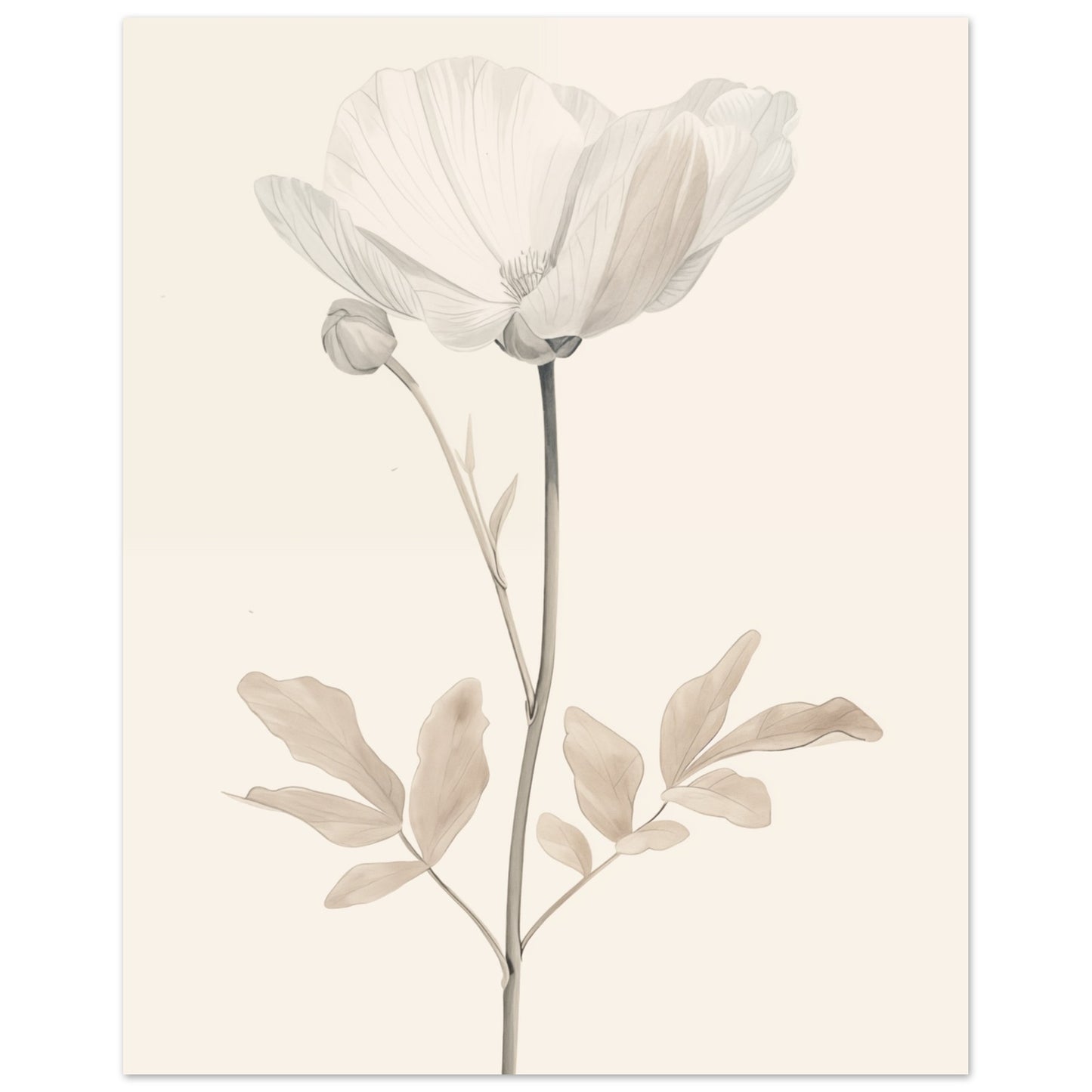 Zarte Blüte 20x25 cm - Pixara