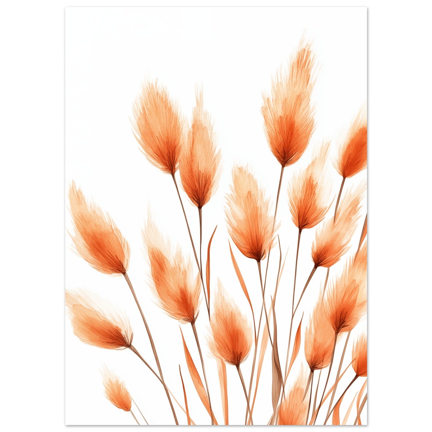 Orangene Hasenschwanzgräser 13x18 cm - Pixara