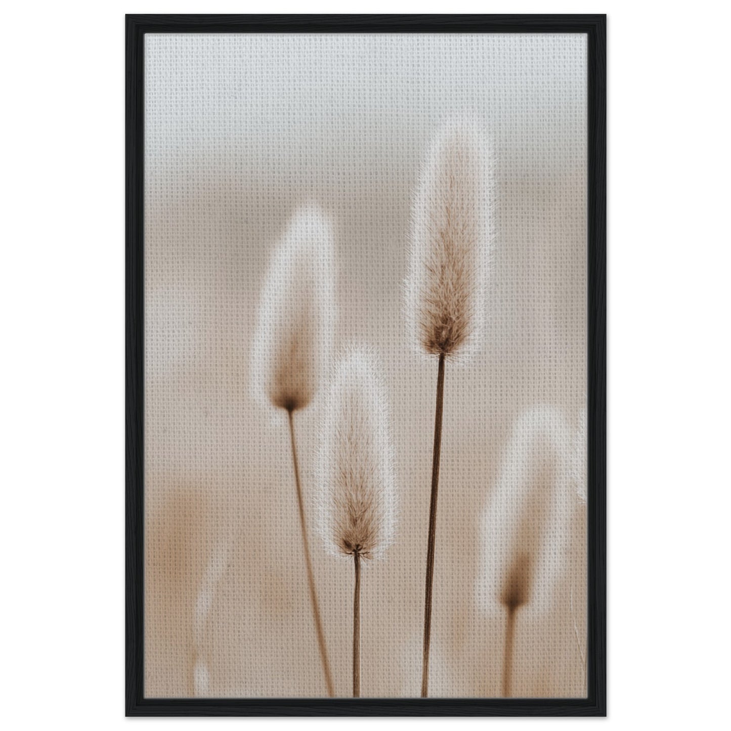 Hasenschwanzgräser in sanften Tönen | Gerahmte Leinwand Schwarzer Rahmen 60x90 cm - Pixara