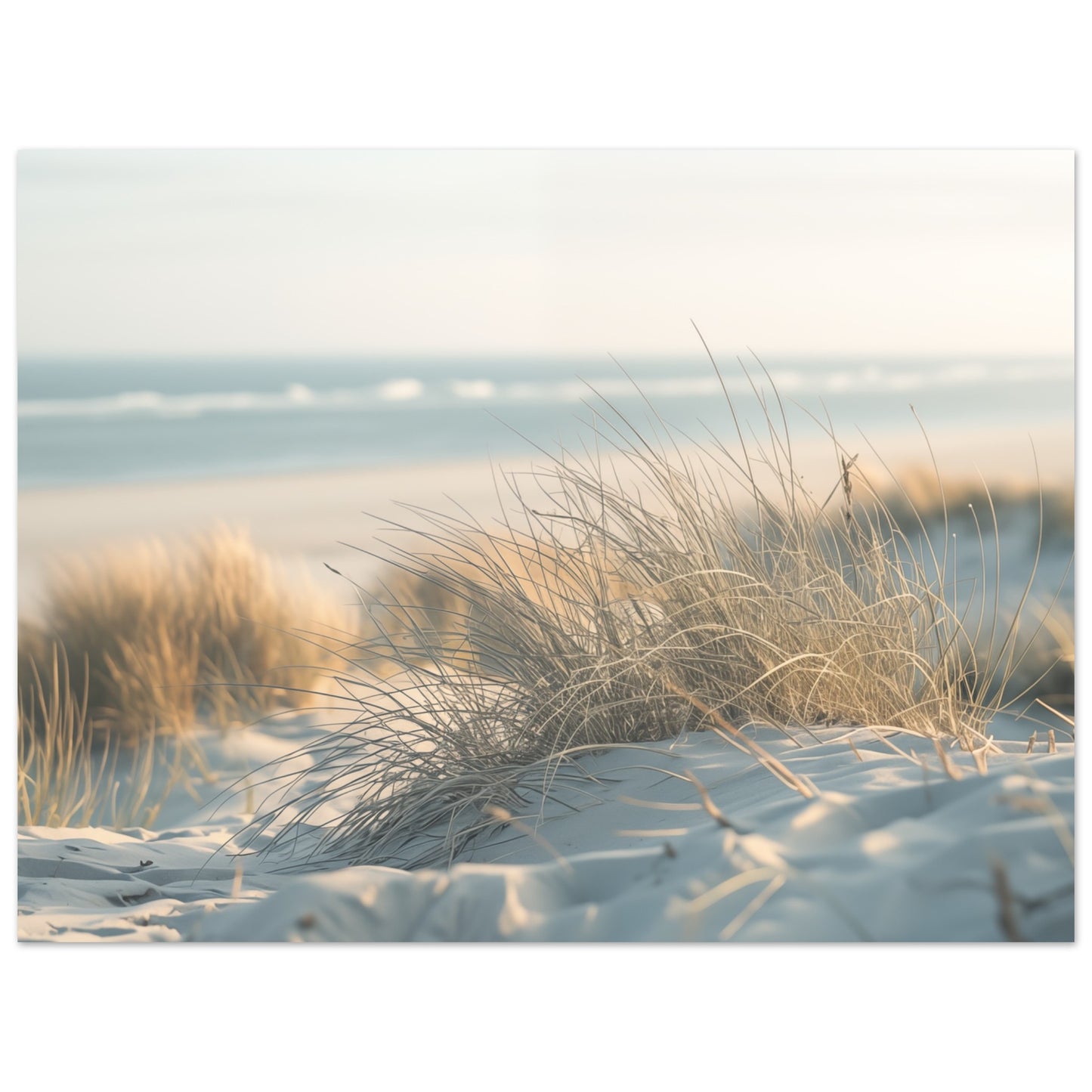 Sand und Schilf Poster 30x40 cm - Pixara
