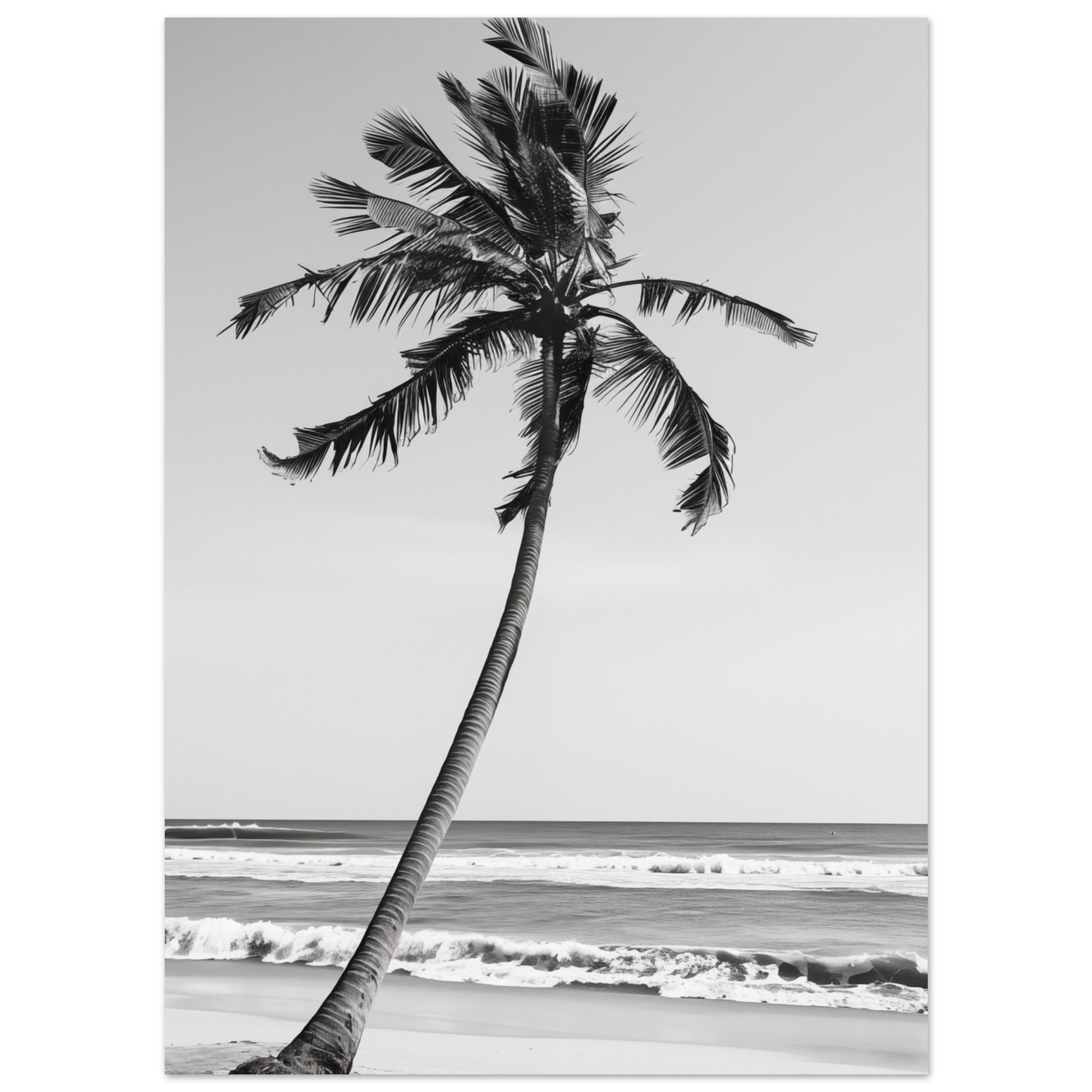 Die einsame Palme 13x18 cm - Pixara