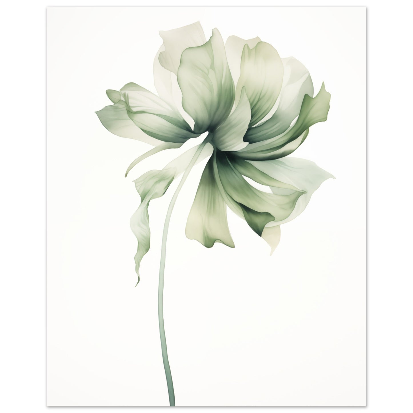 Florale Whisper Poster 20x25 cm - Pixara