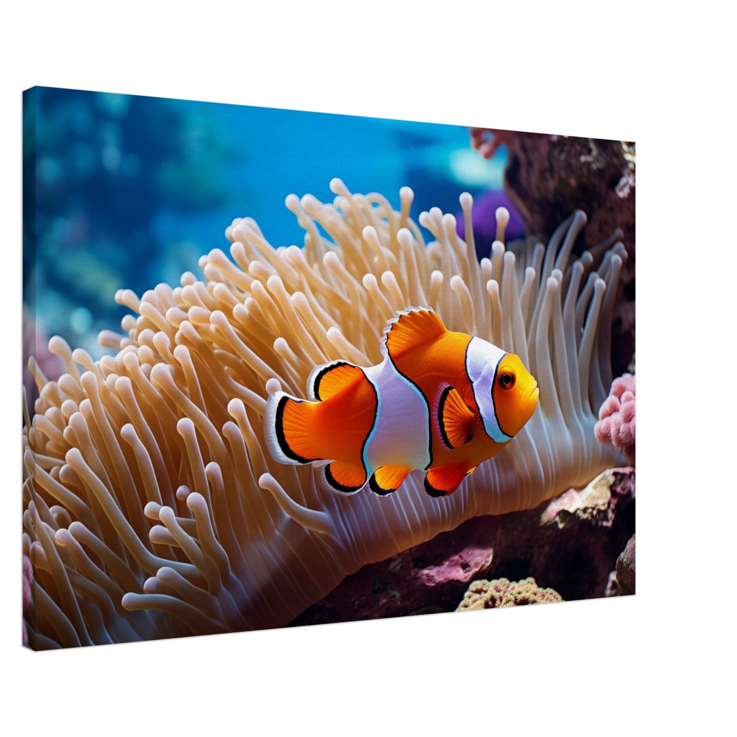 Versteck im Riff Leinwand 60x90 cm - Pixara